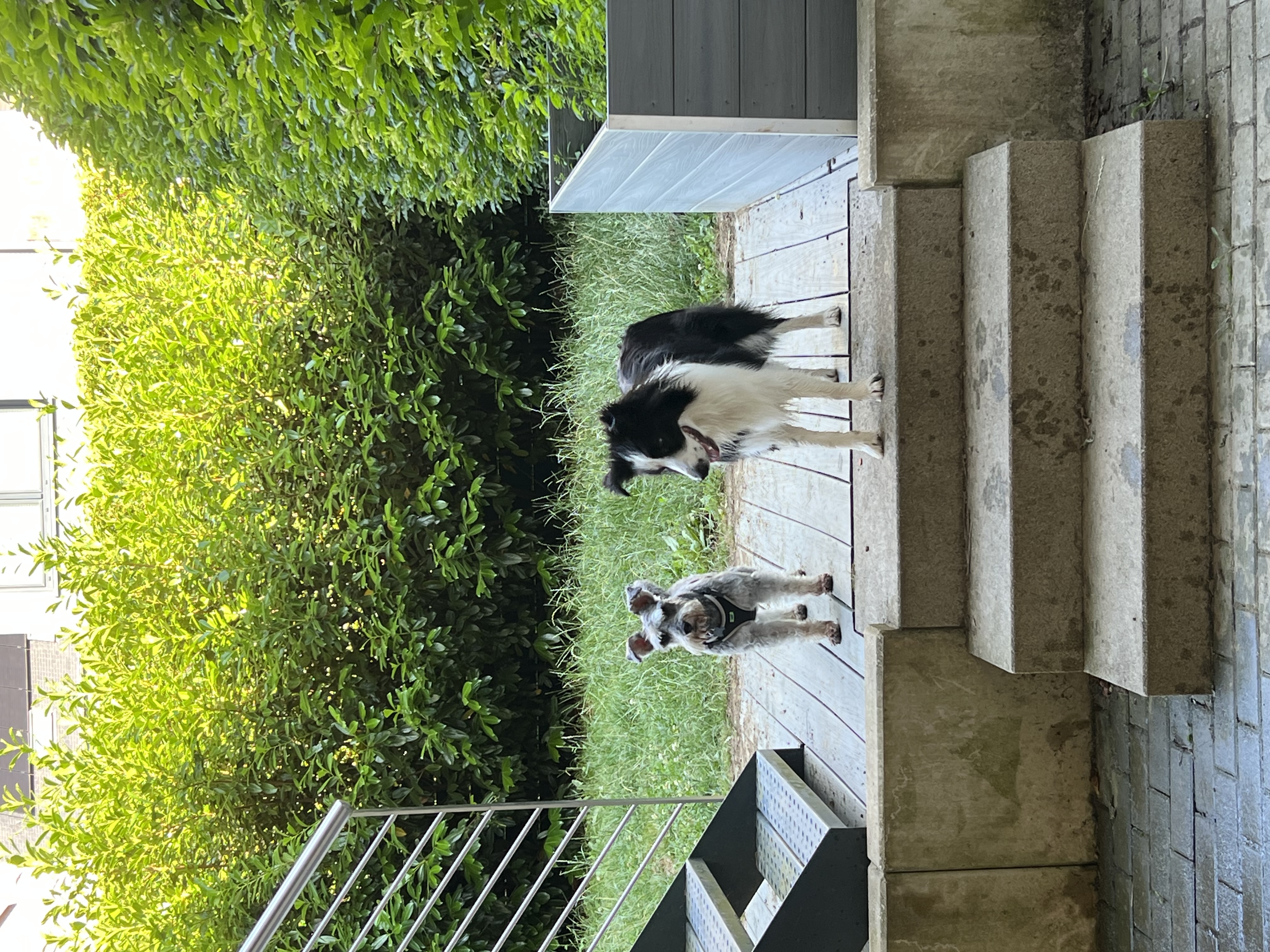 image-5