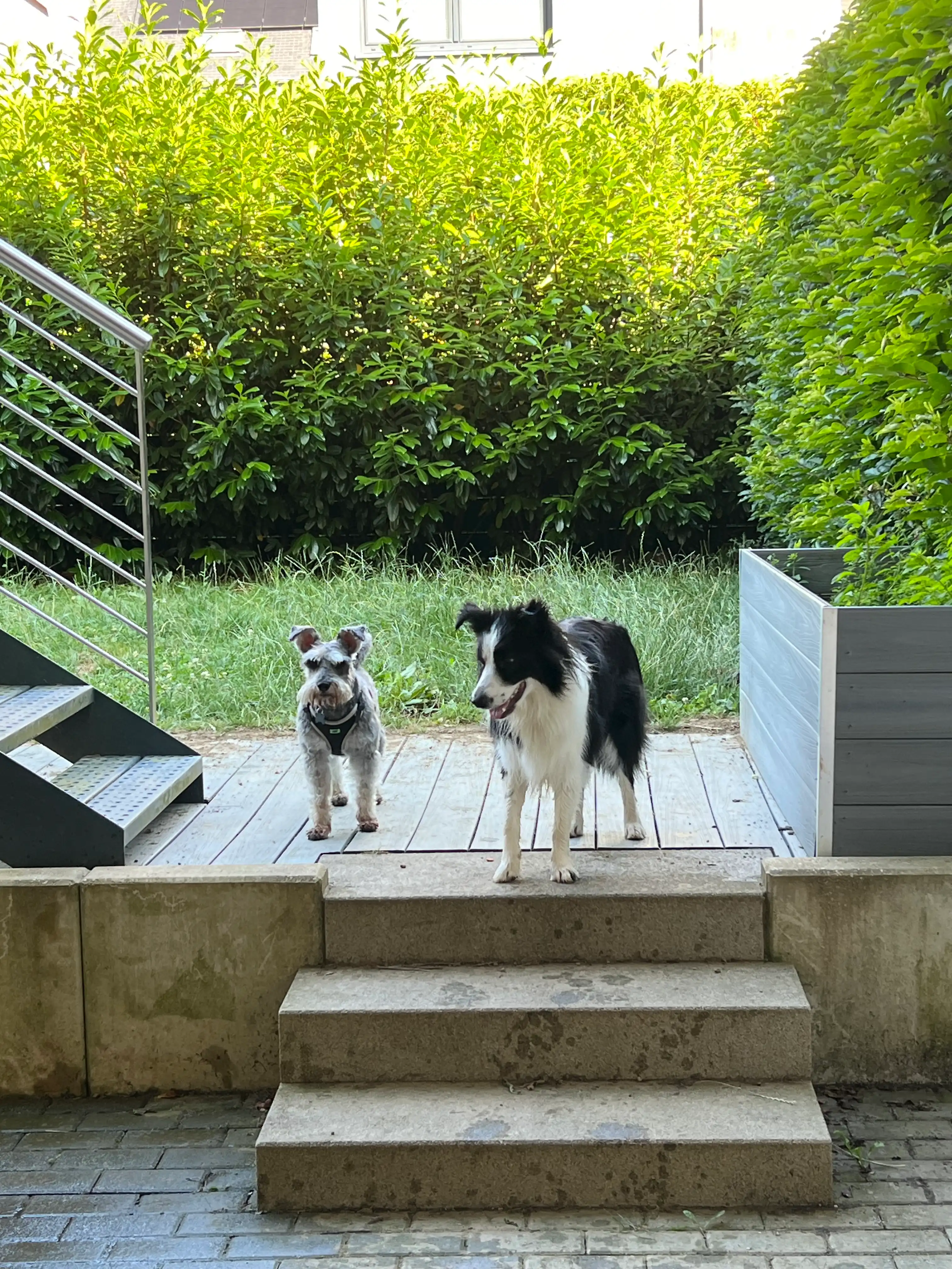image-5