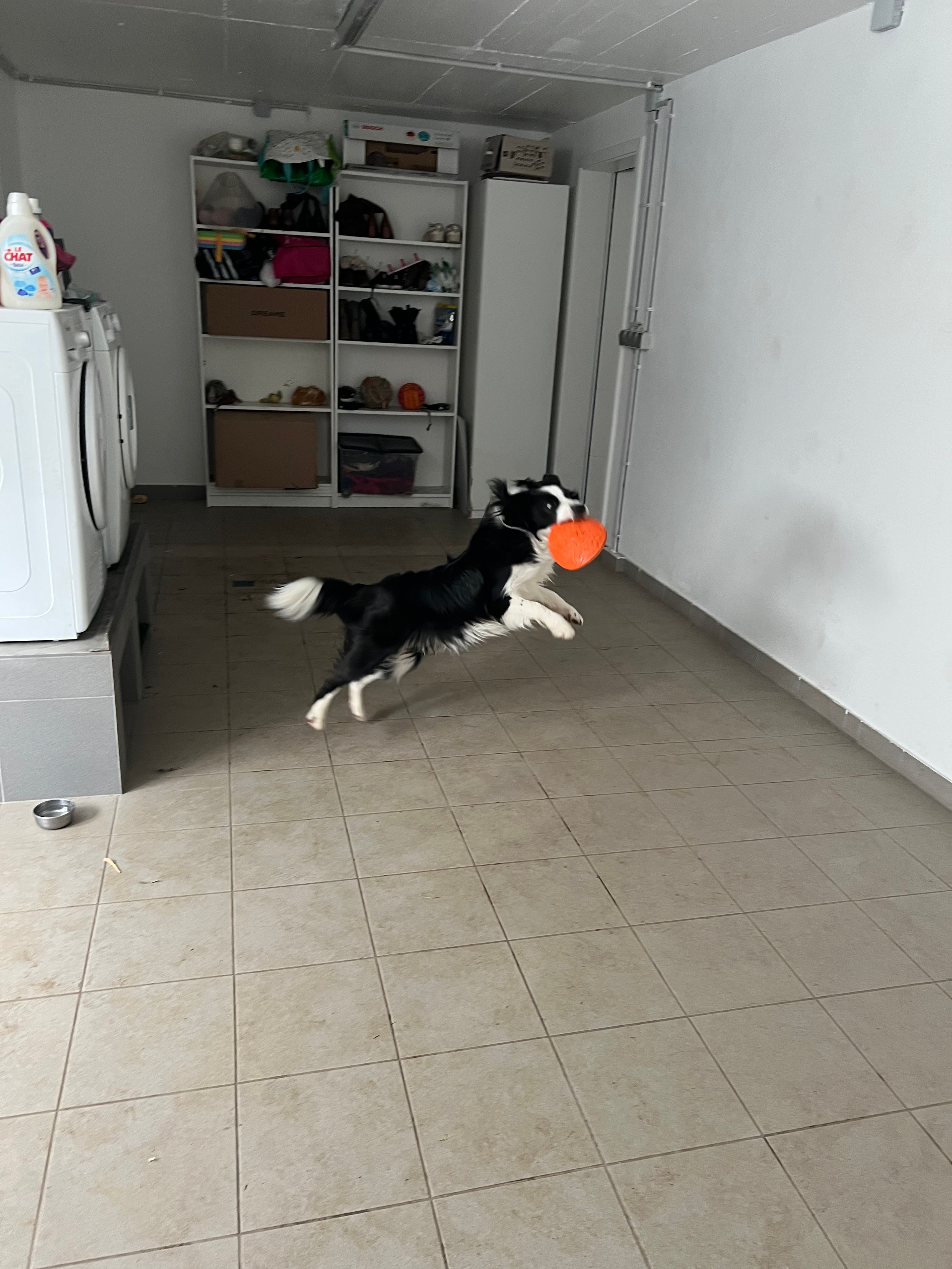 image-19