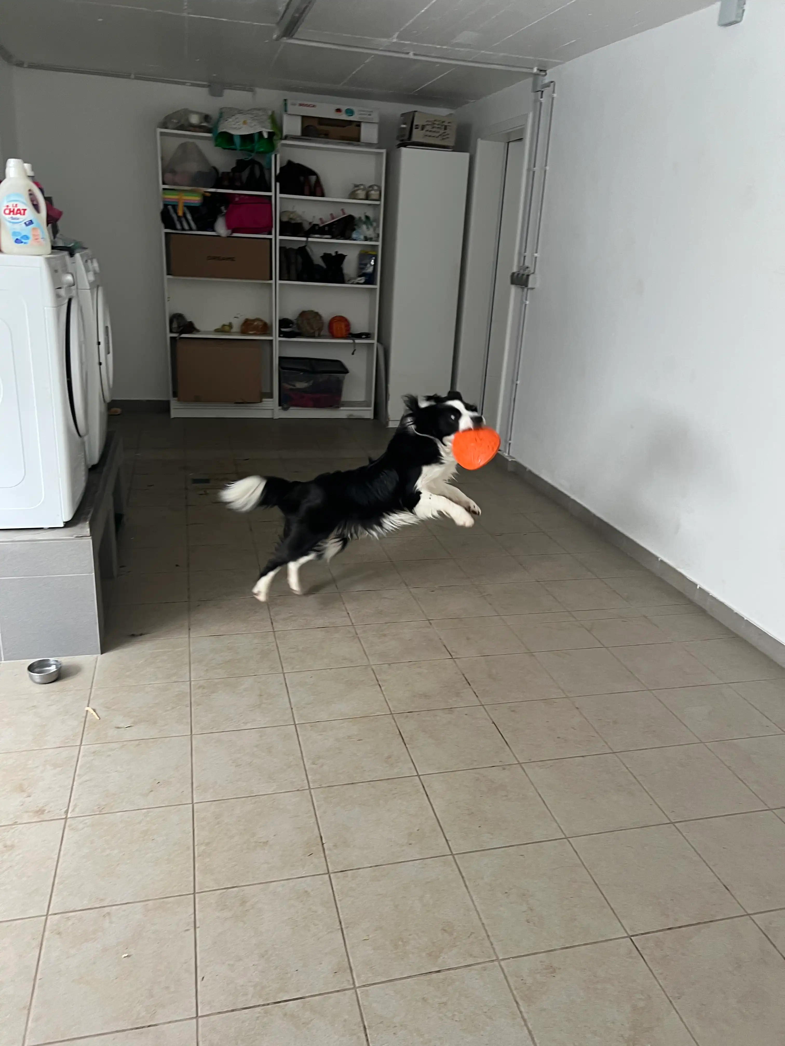 image-19