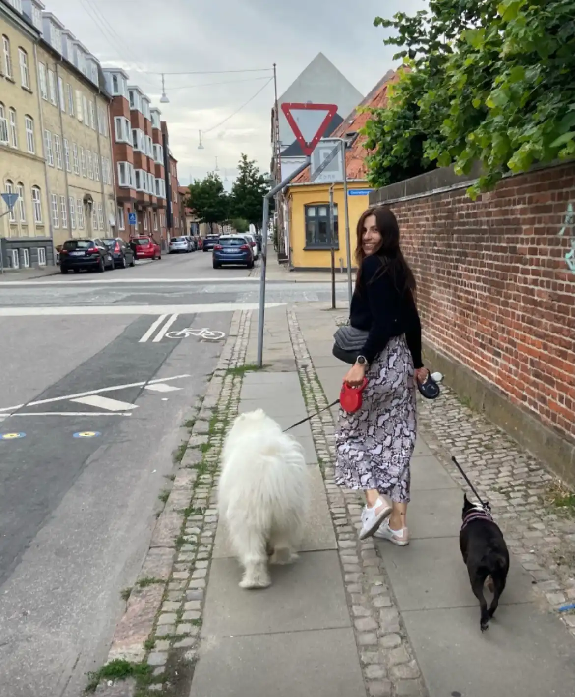 image-7