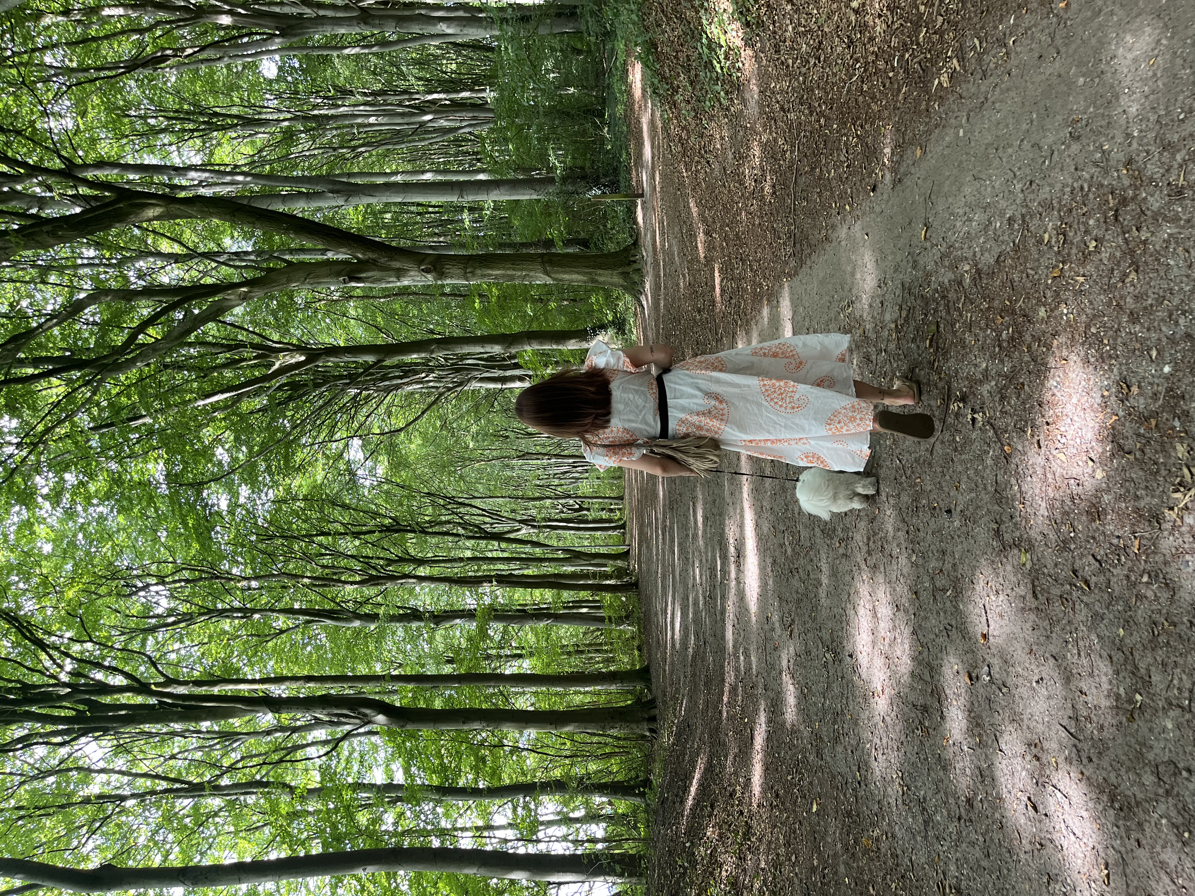 image-0