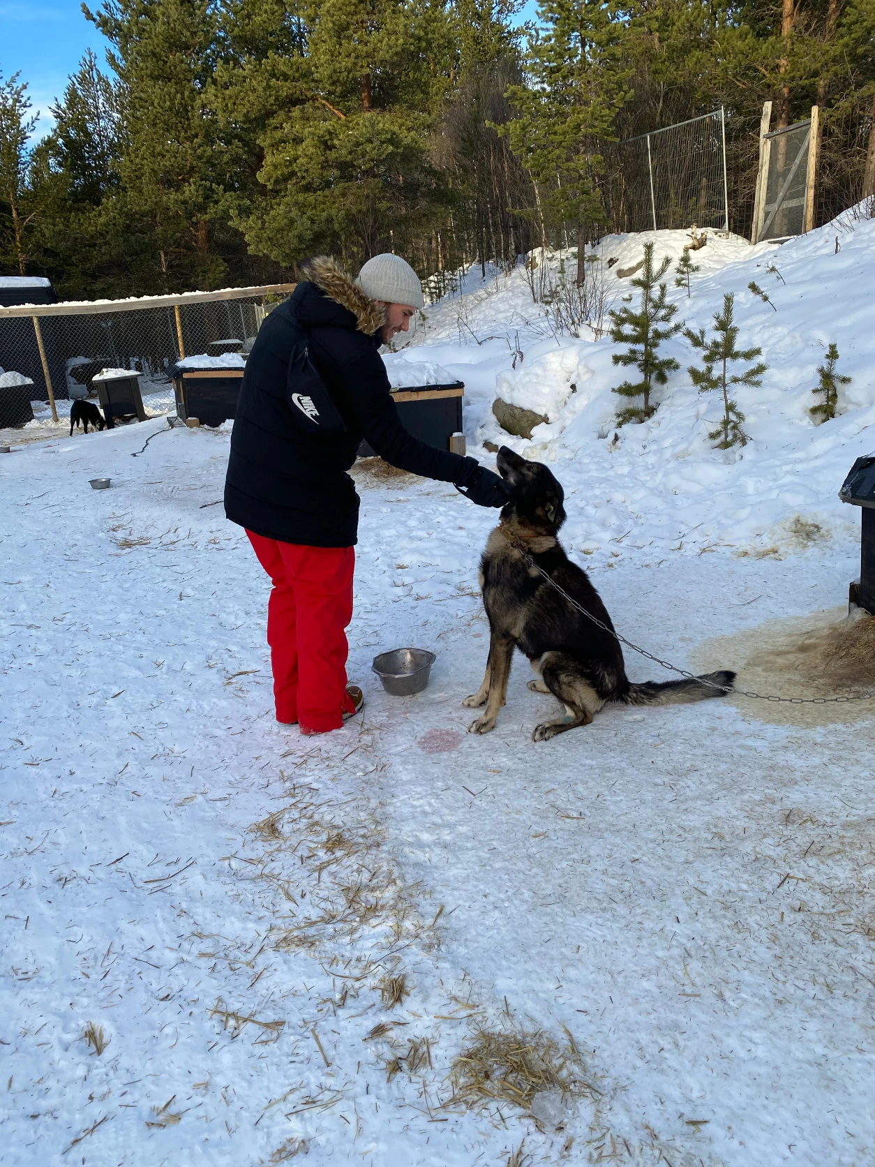 image-6
