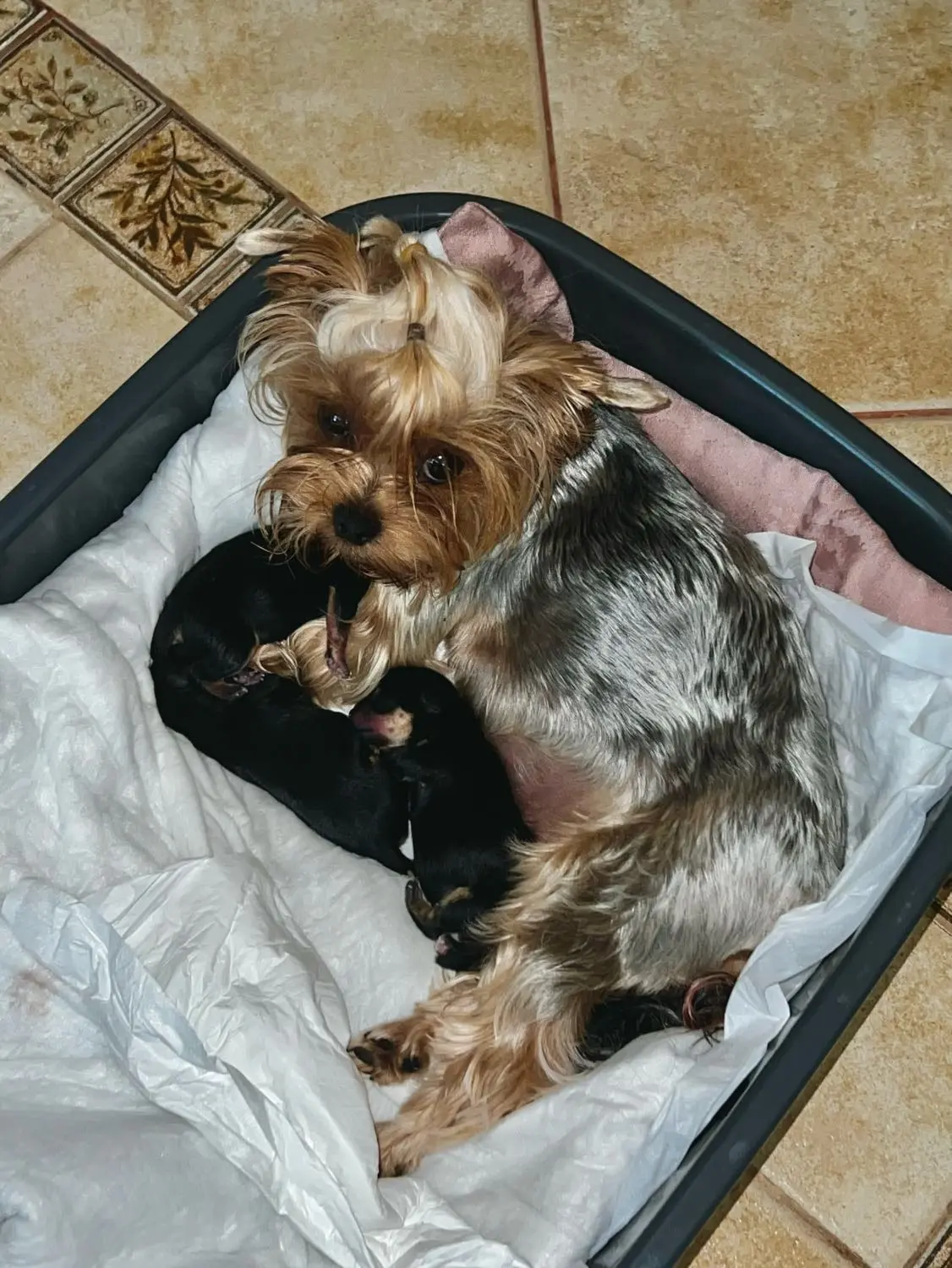 image-4