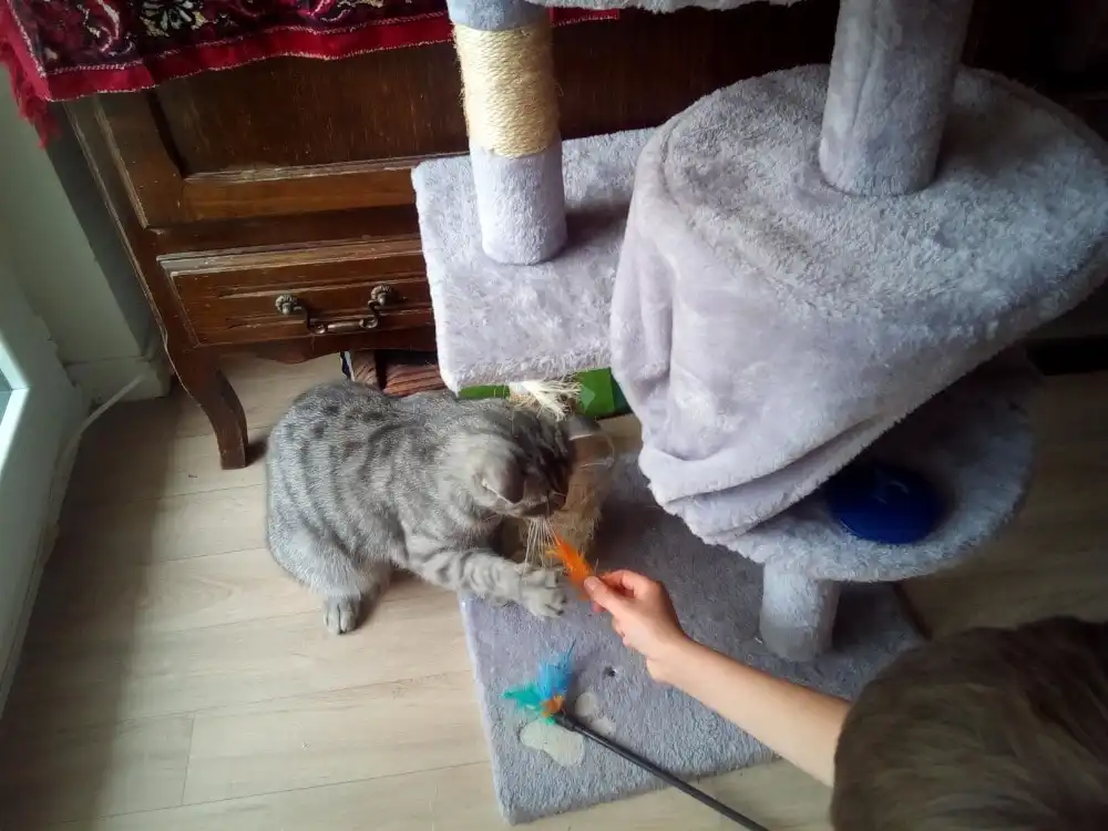 image-35