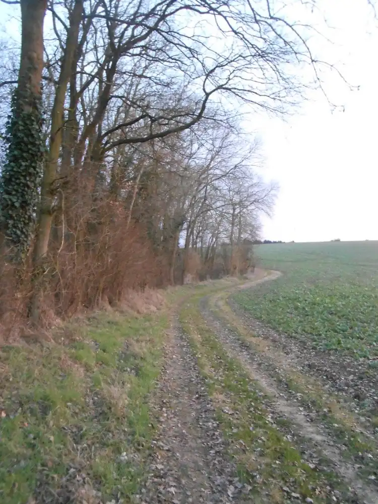 image-10