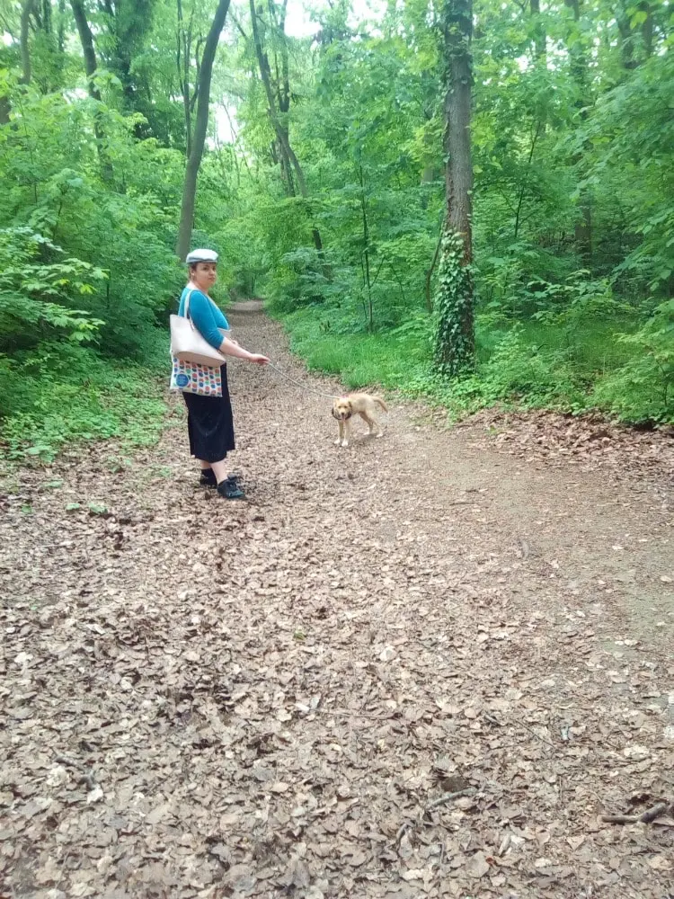 image-2