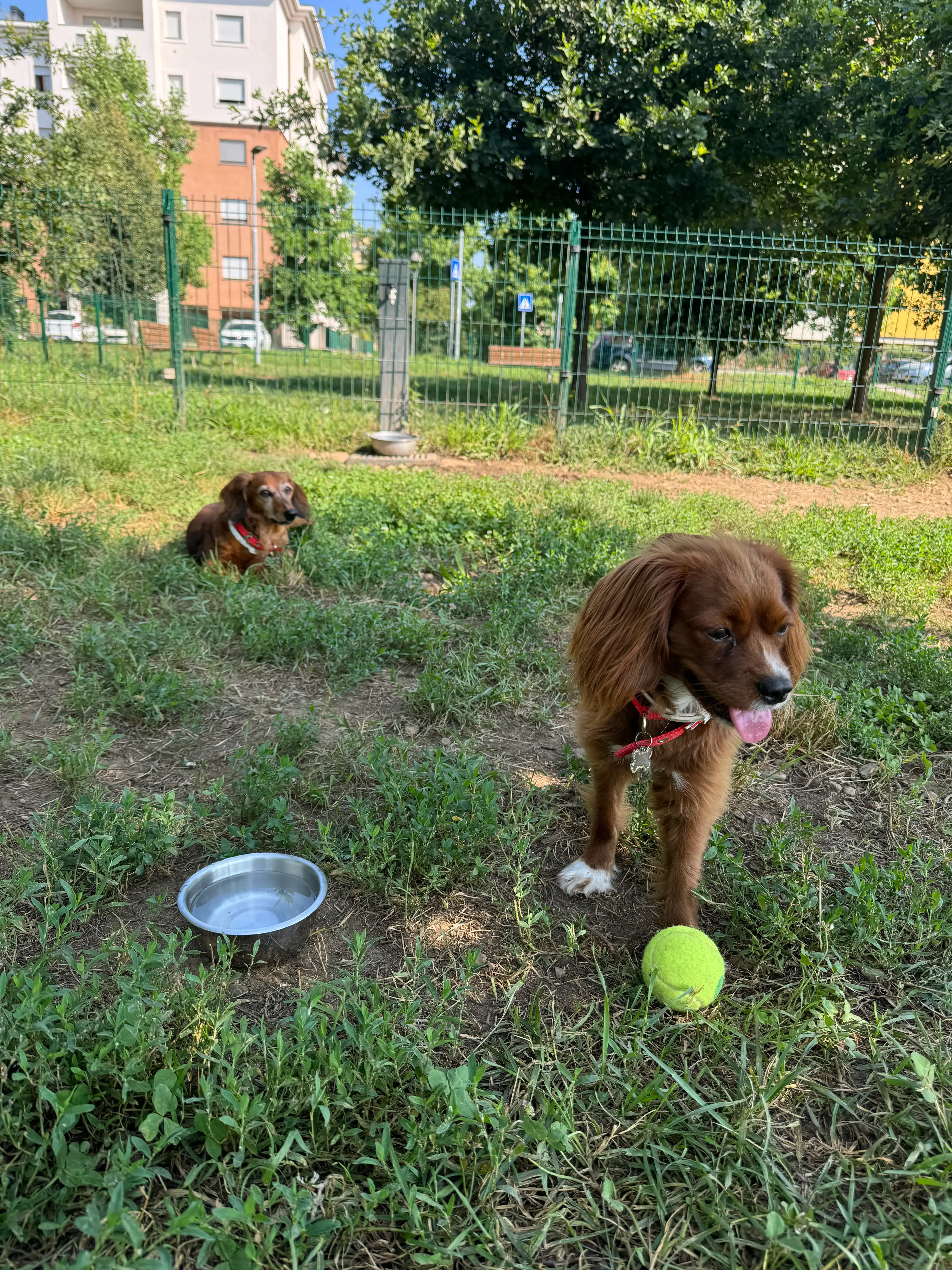 image-17