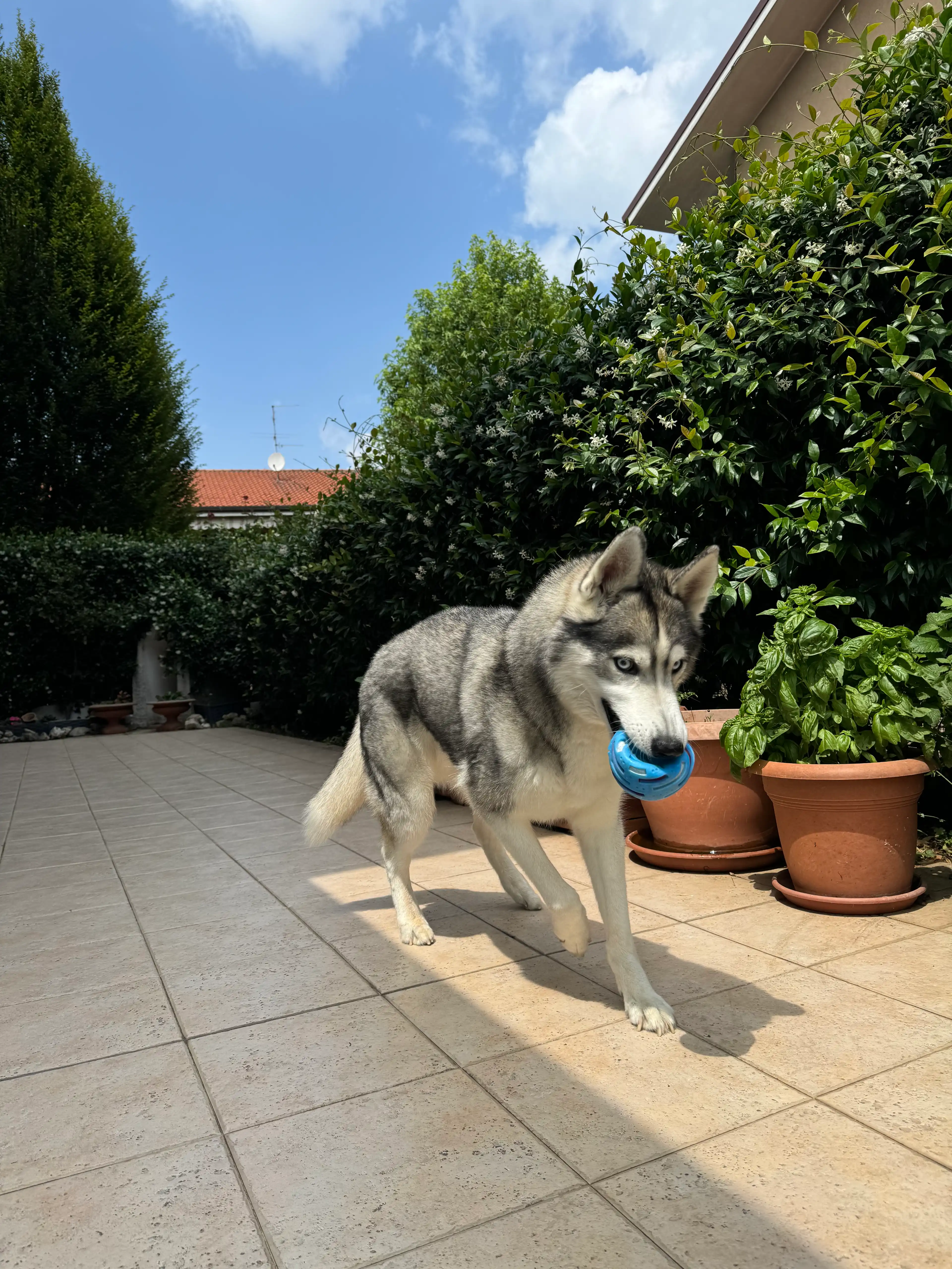 image-28