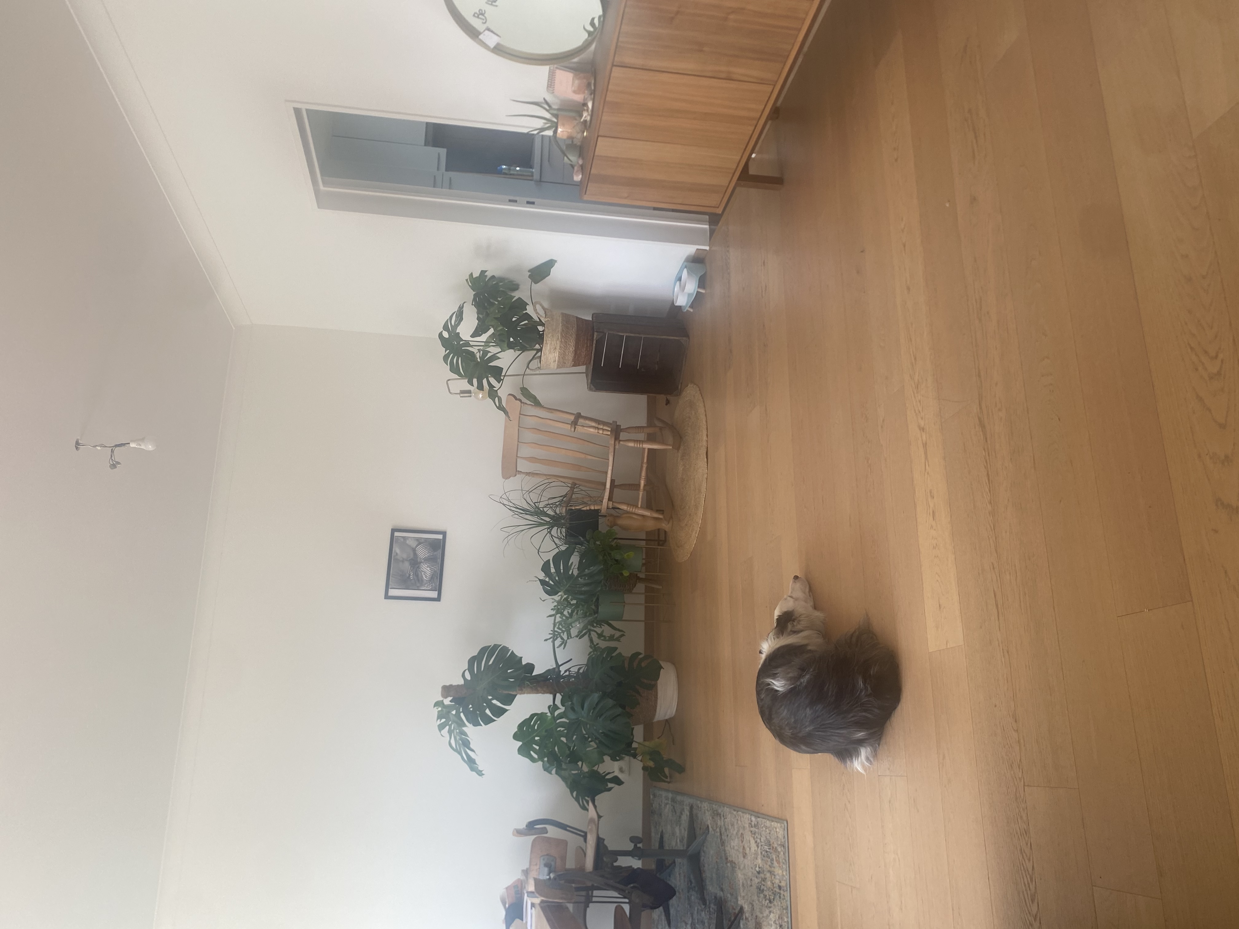 image-16
