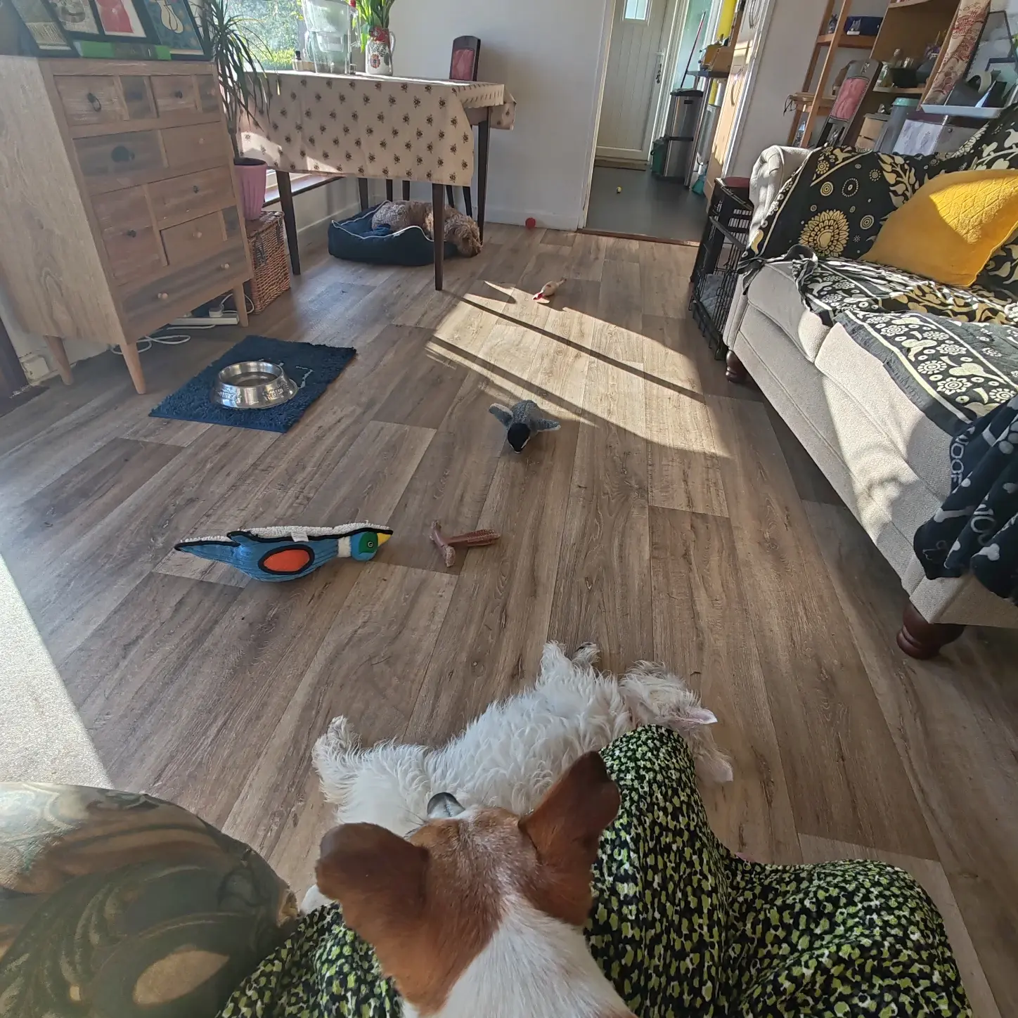 image-1