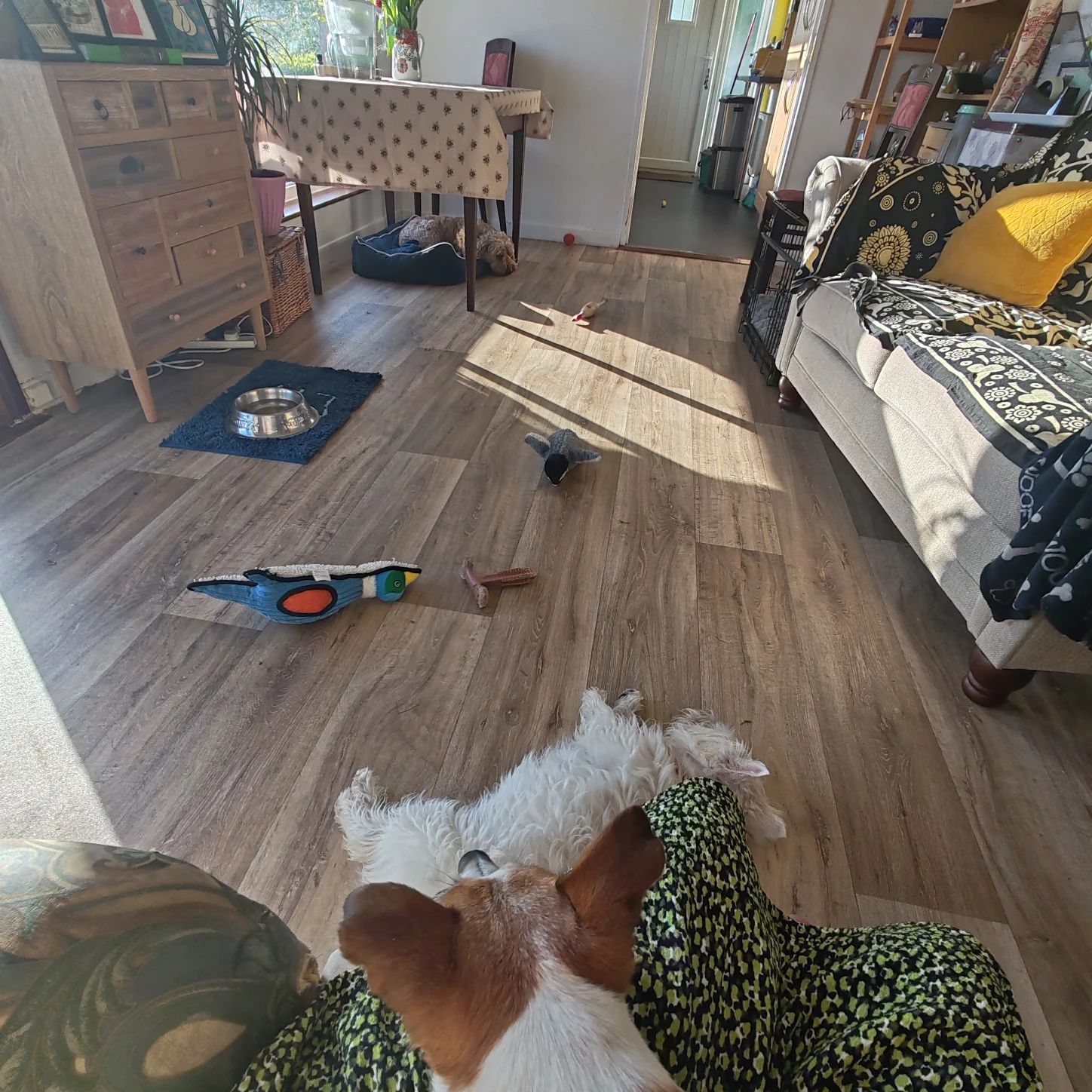 image-9