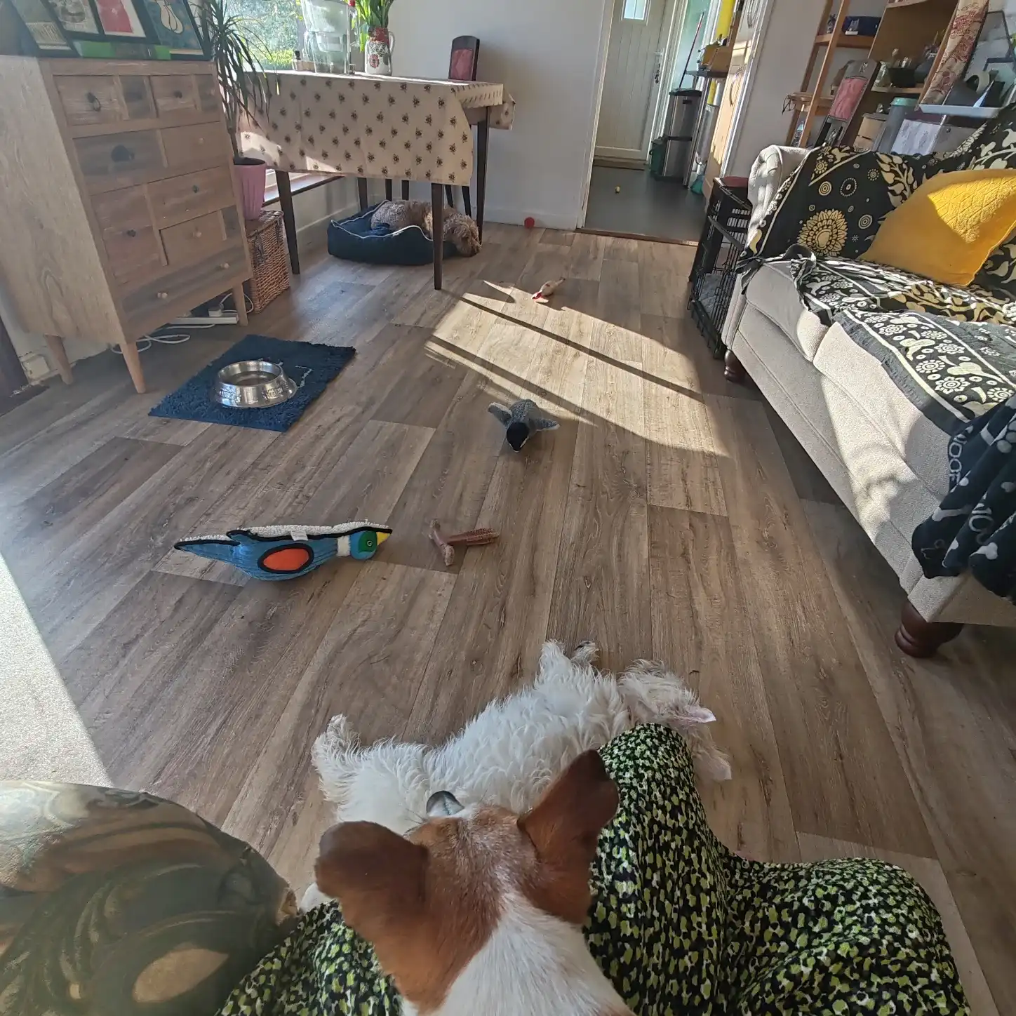 image-9