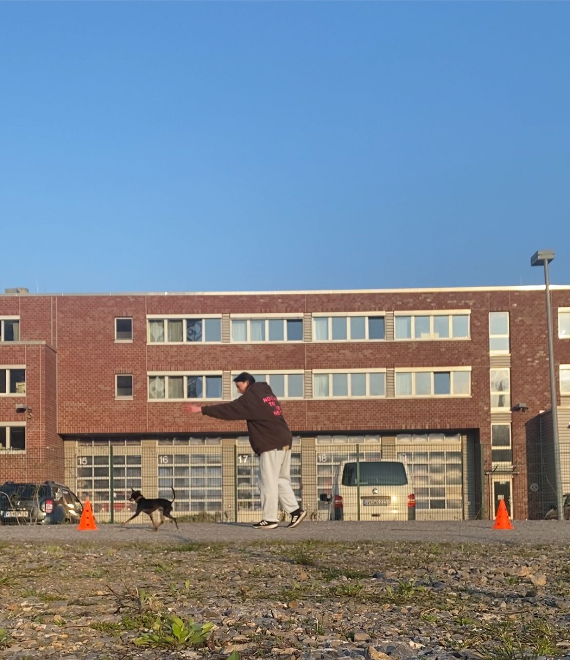 image-15