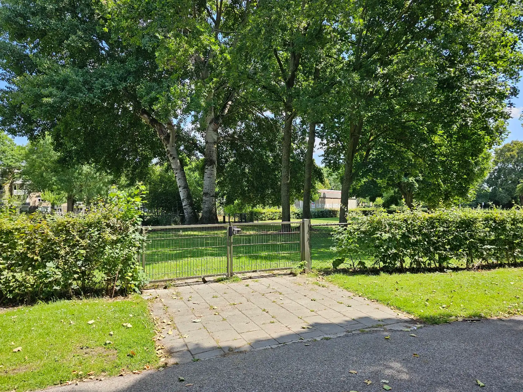 image-29
