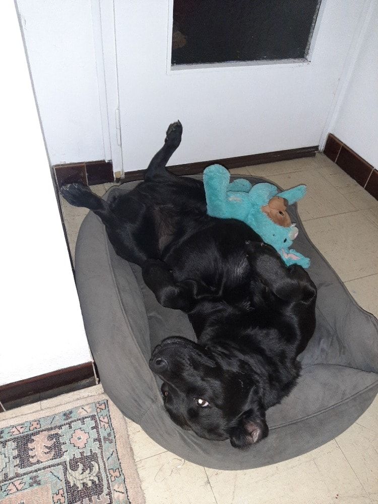image-3