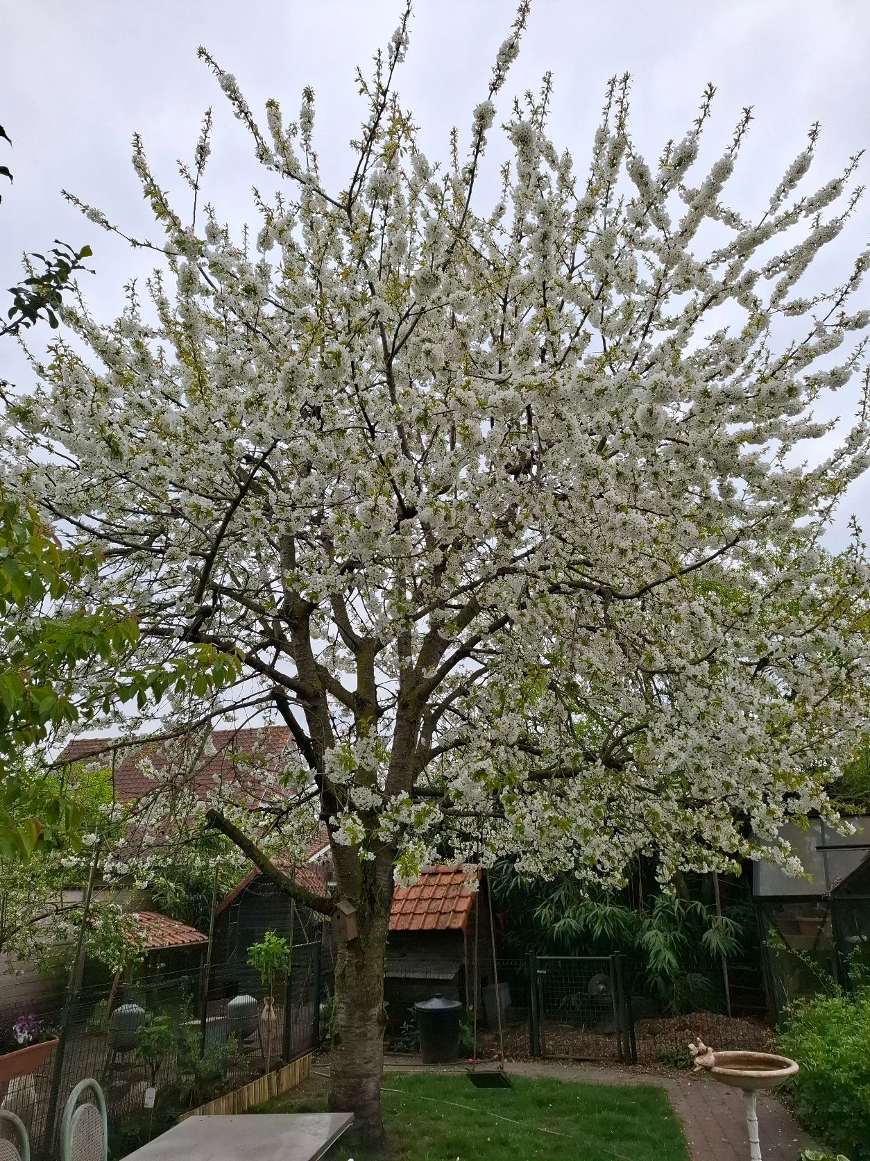 image-14