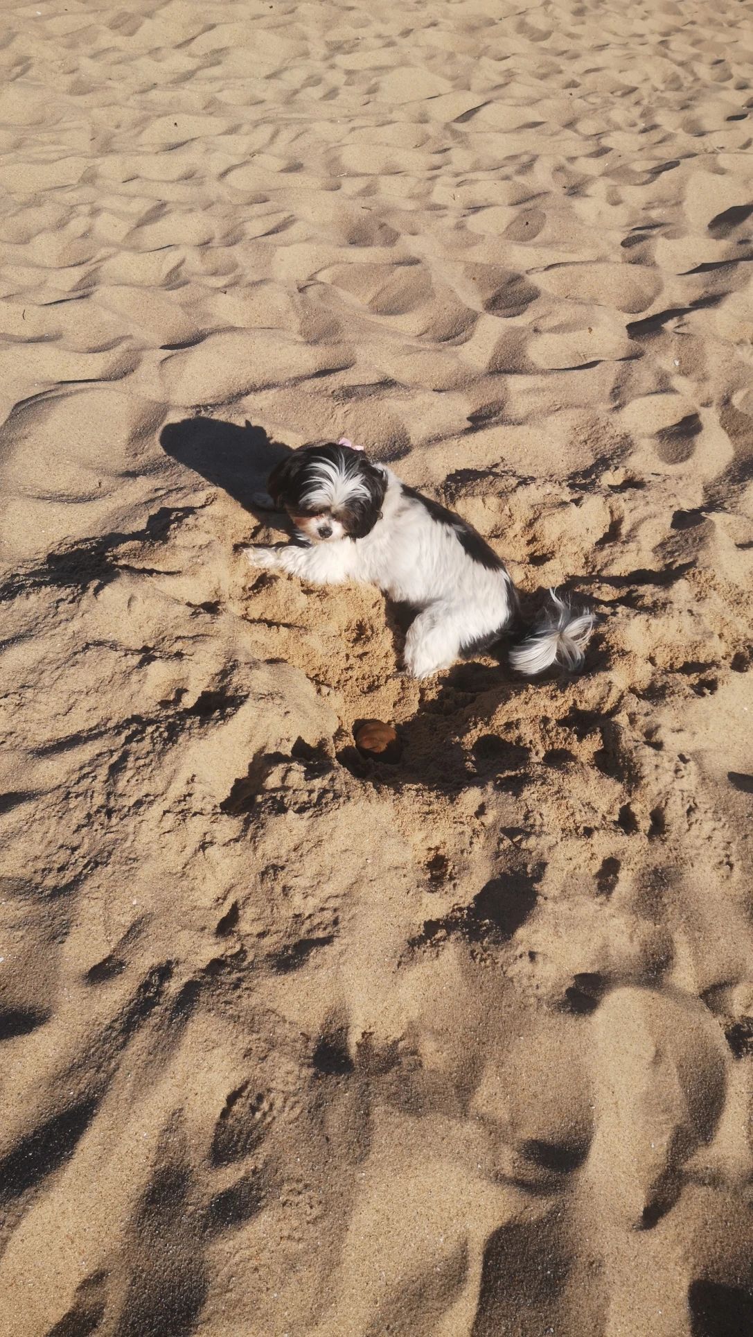 image-5