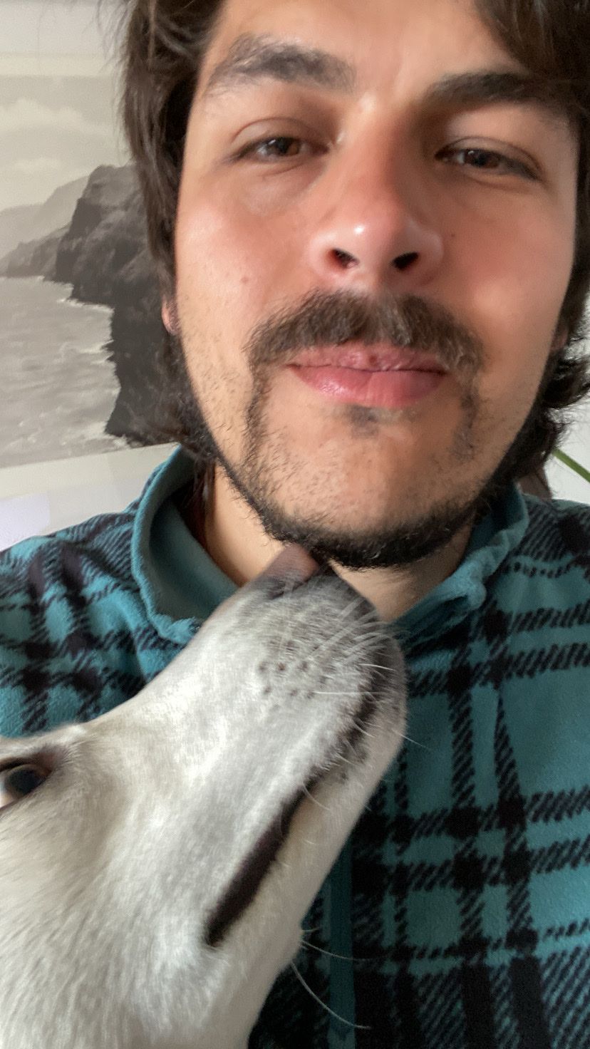 image-6