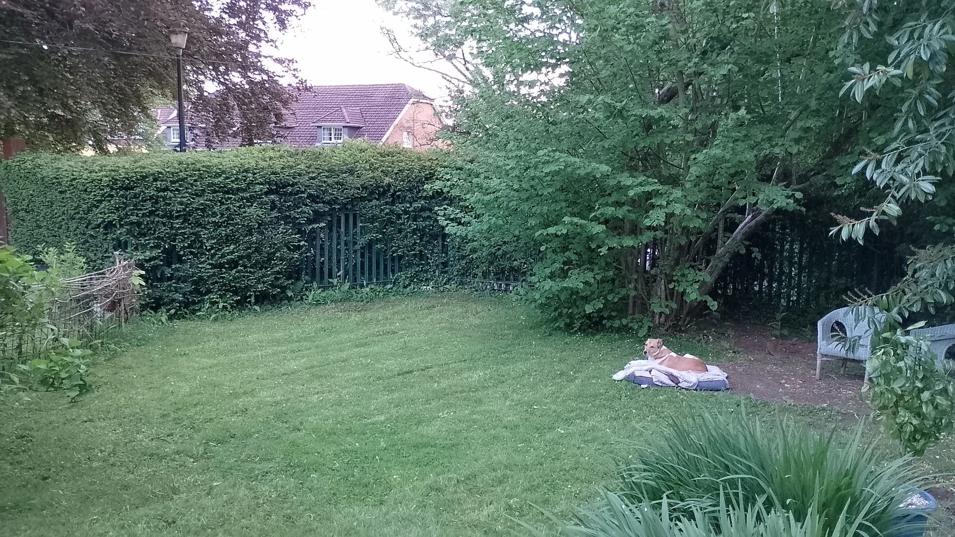 image-16