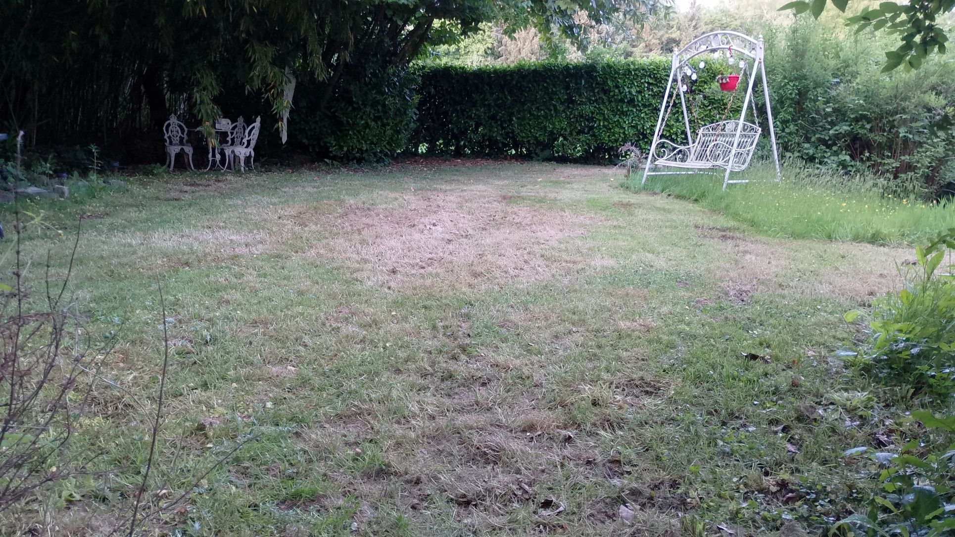 image-19