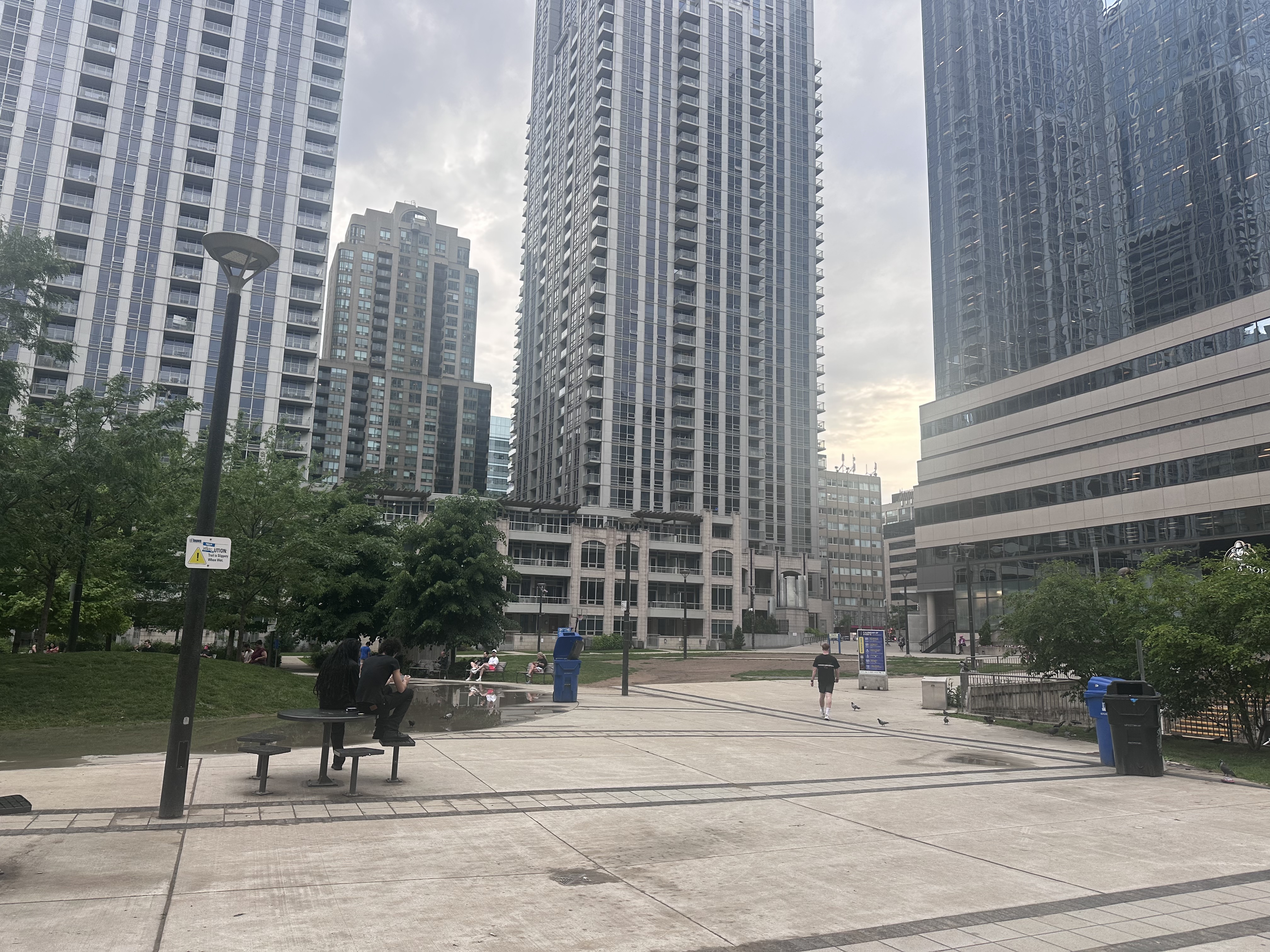 image-19