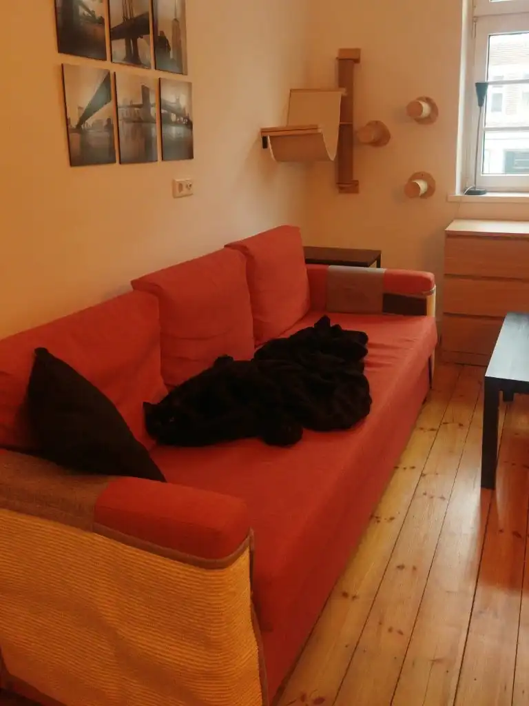 image-5
