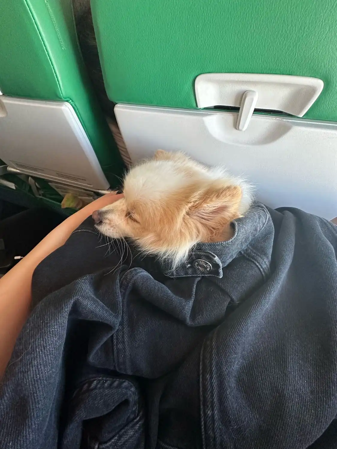 image-9