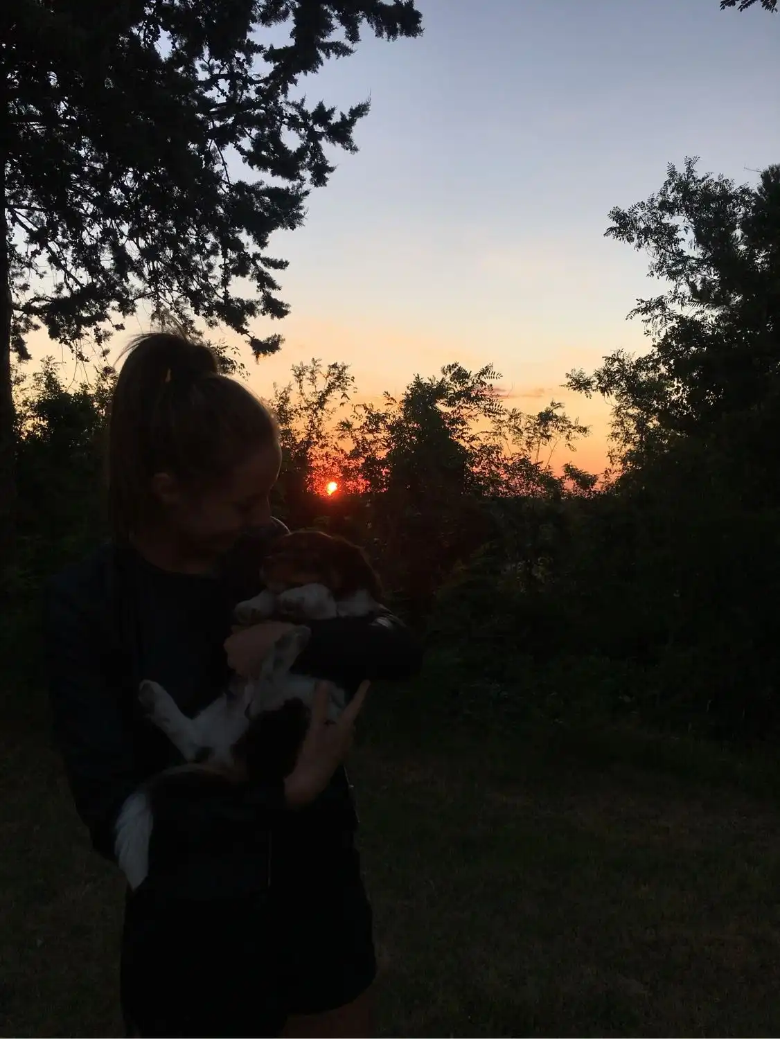 image-6