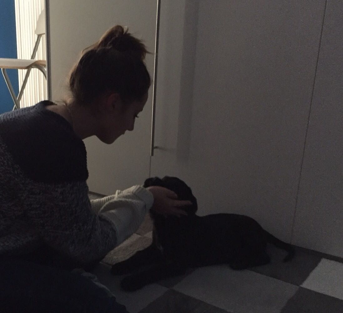 image-7