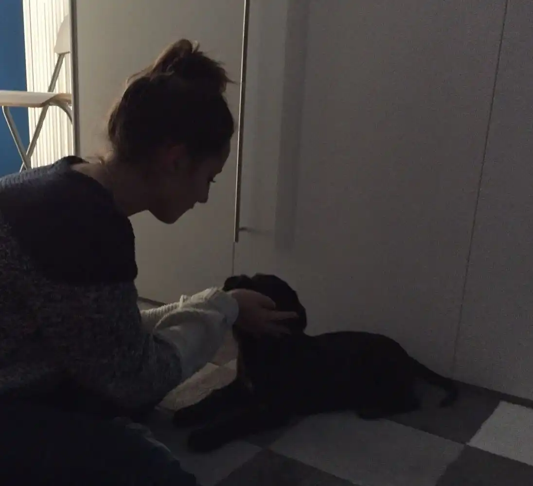 image-7
