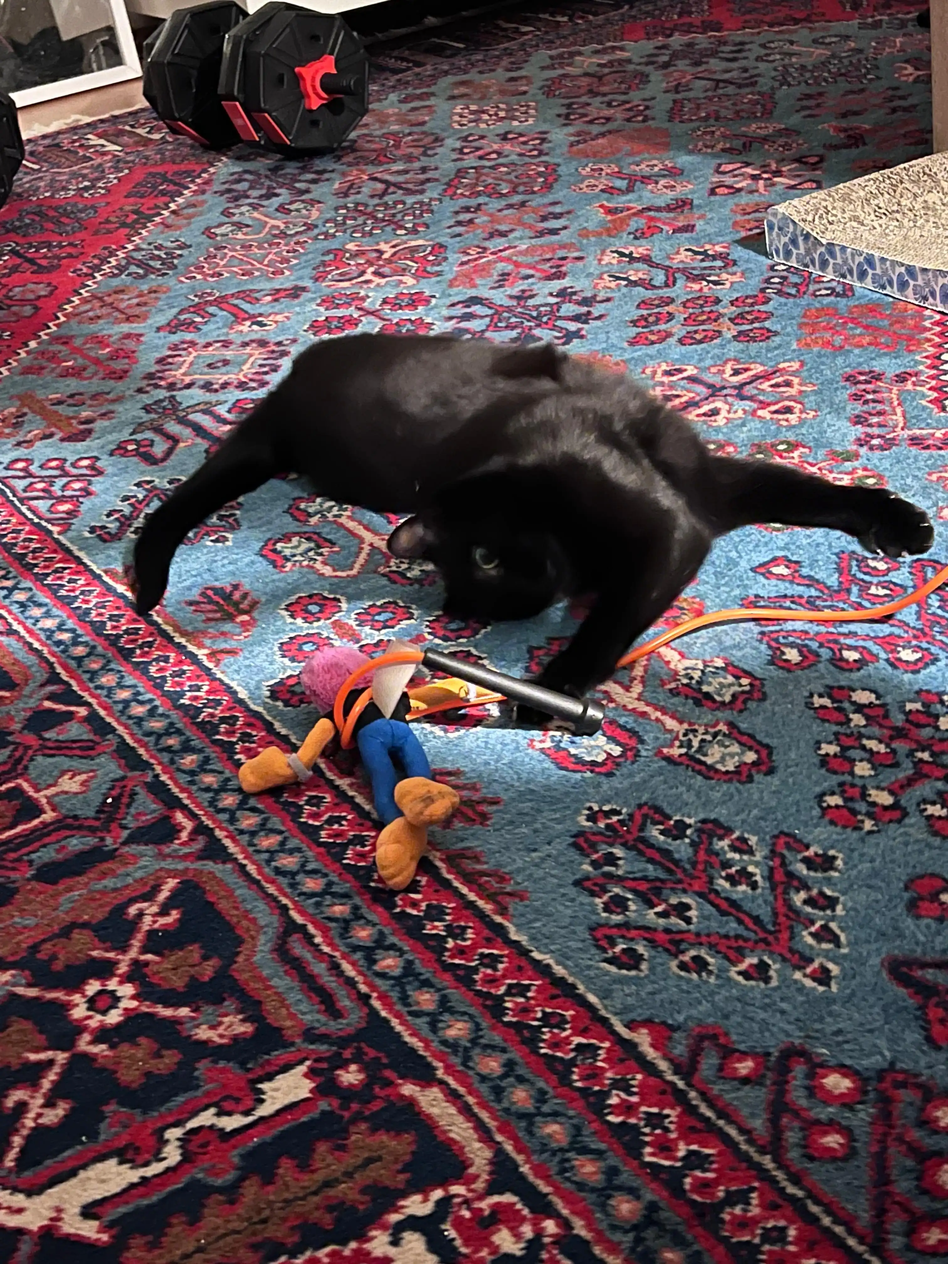 image-14