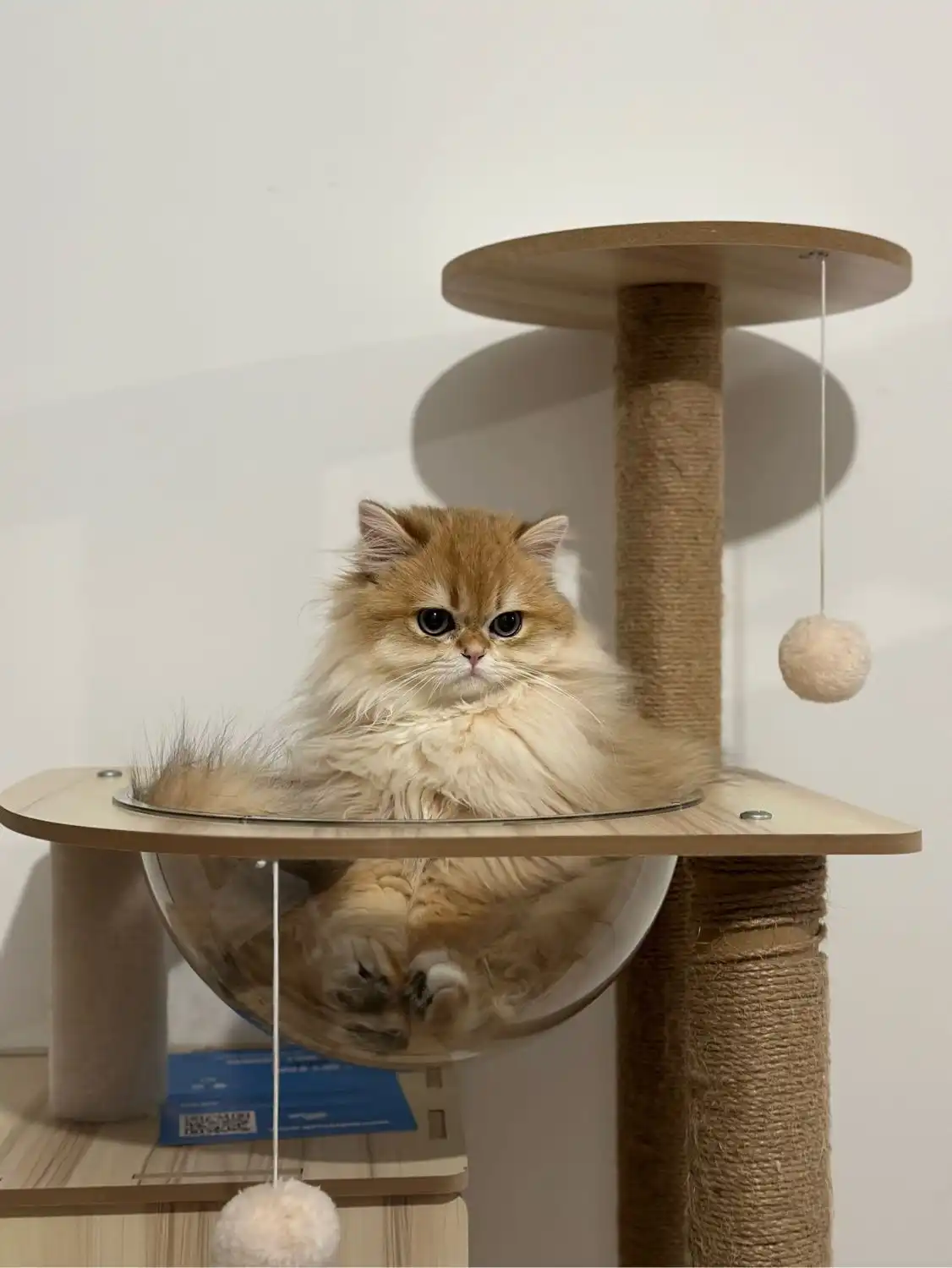 image-6