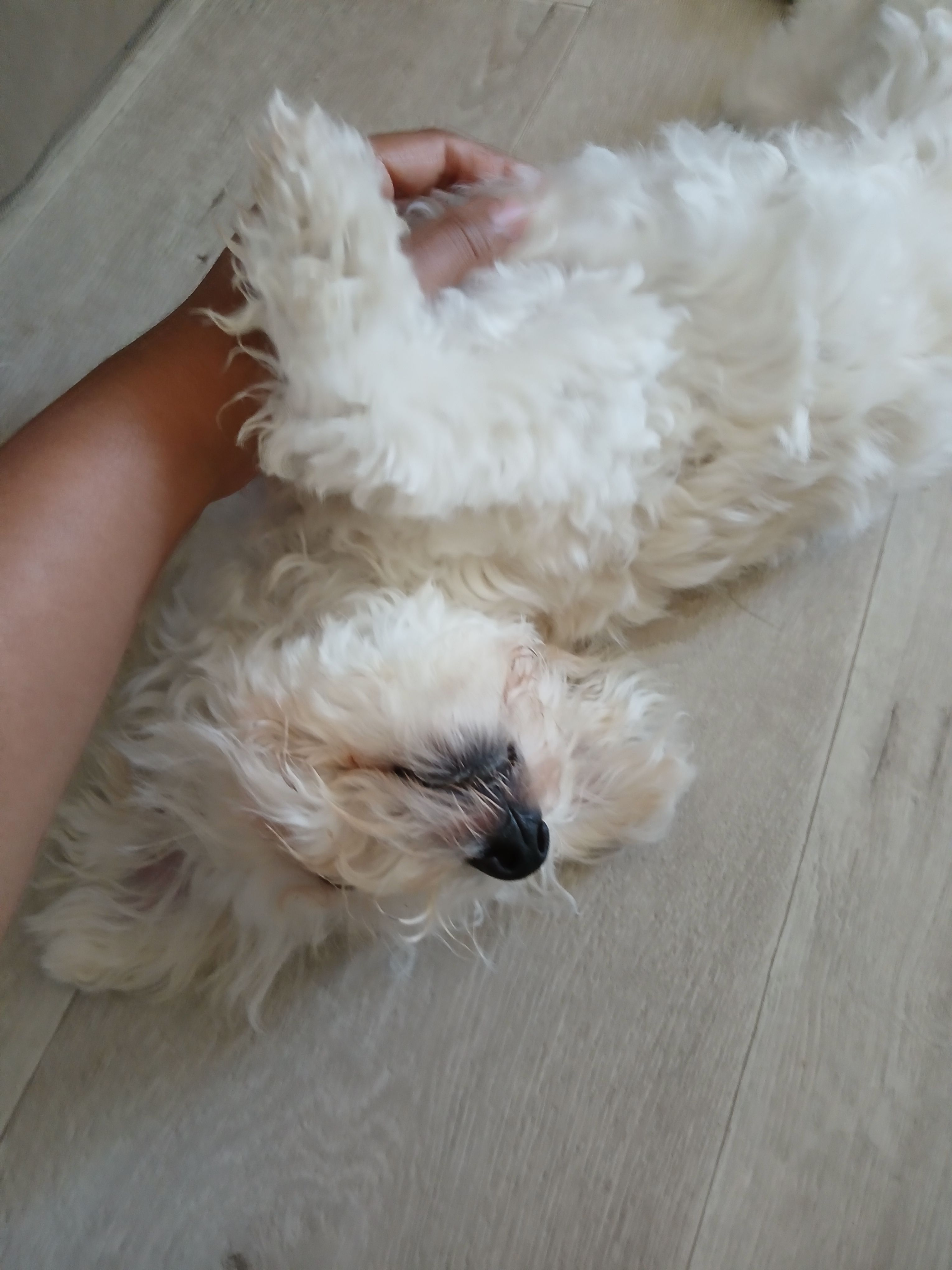 image-8