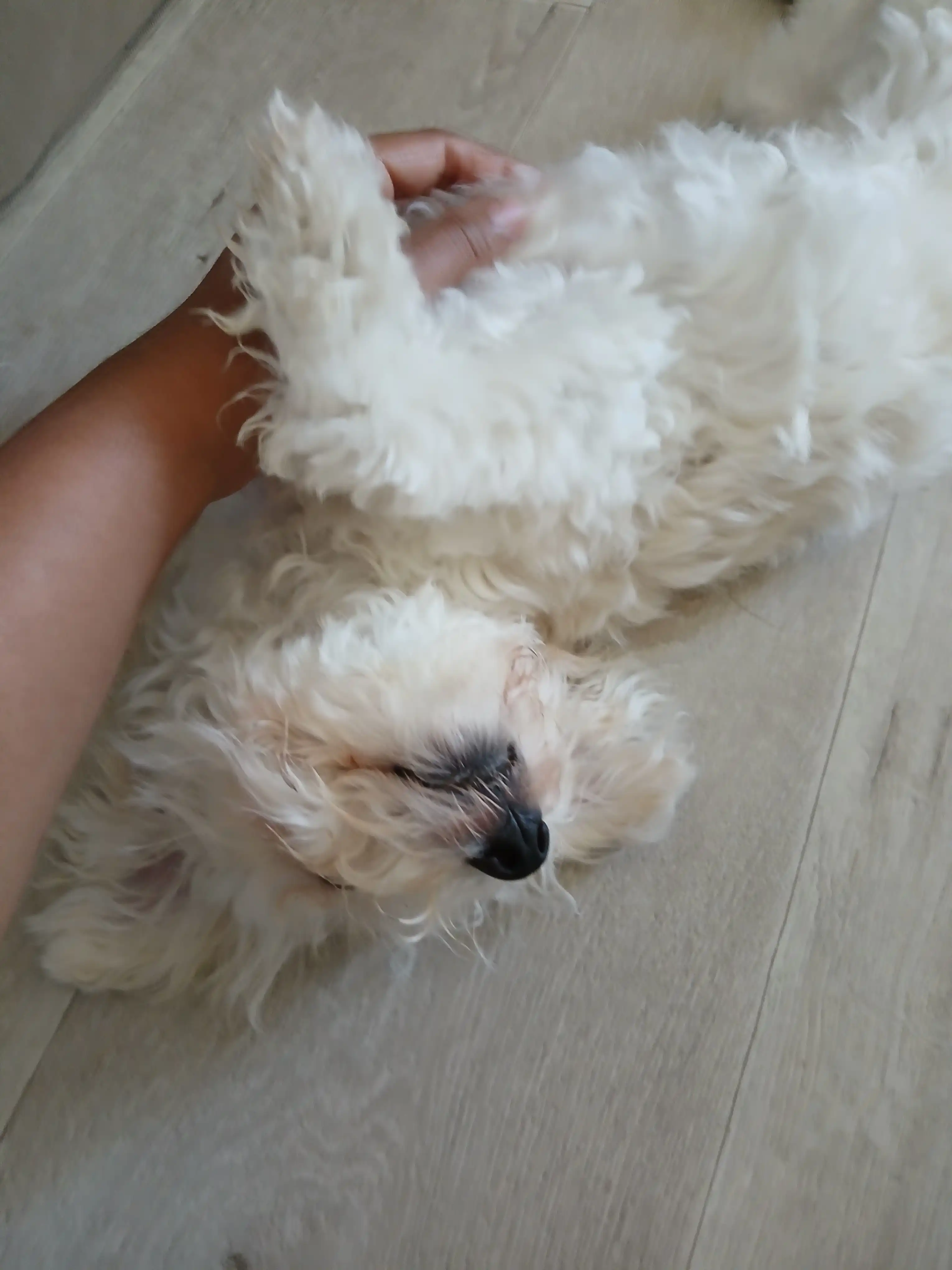 image-8