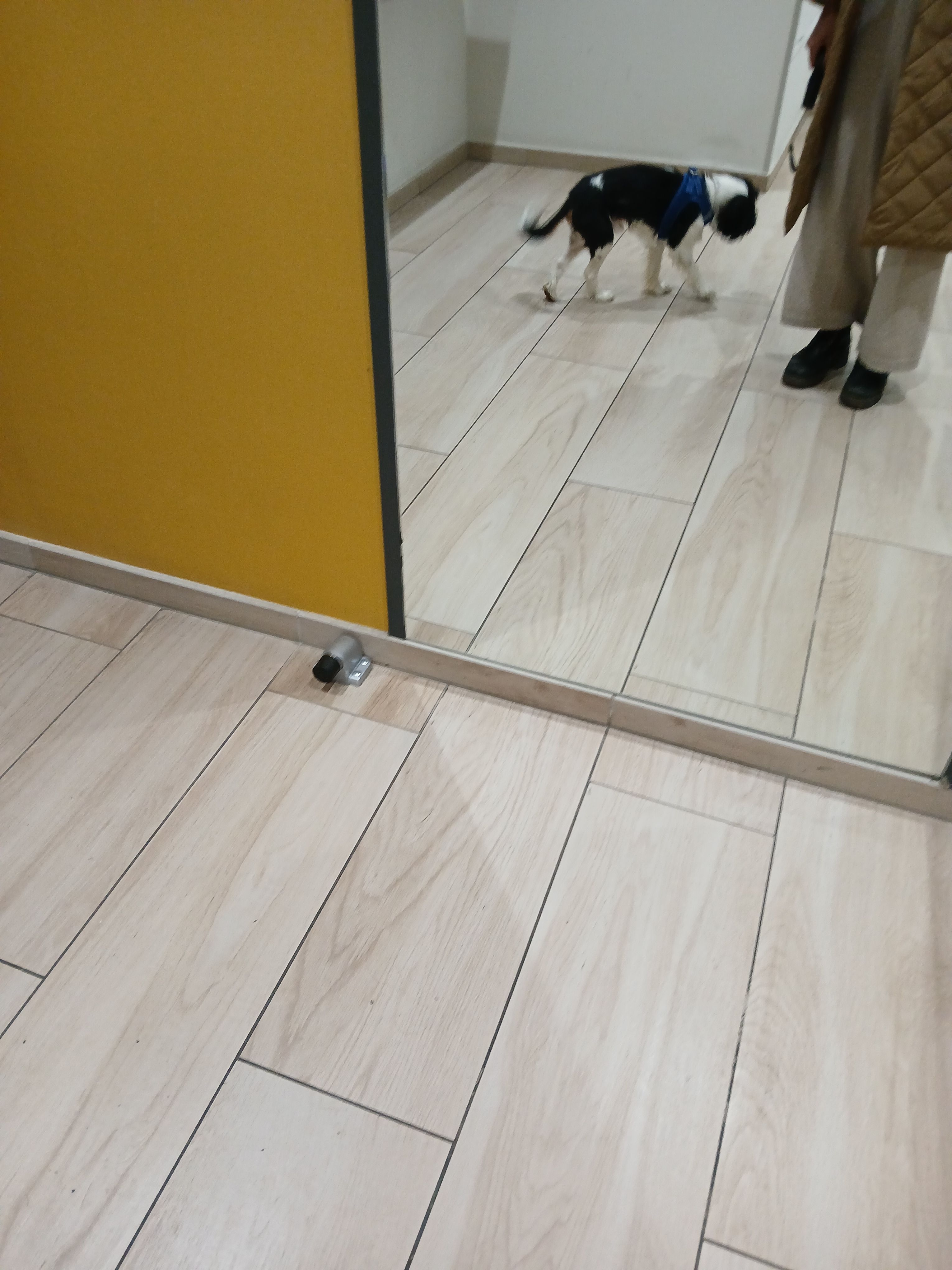 image-10