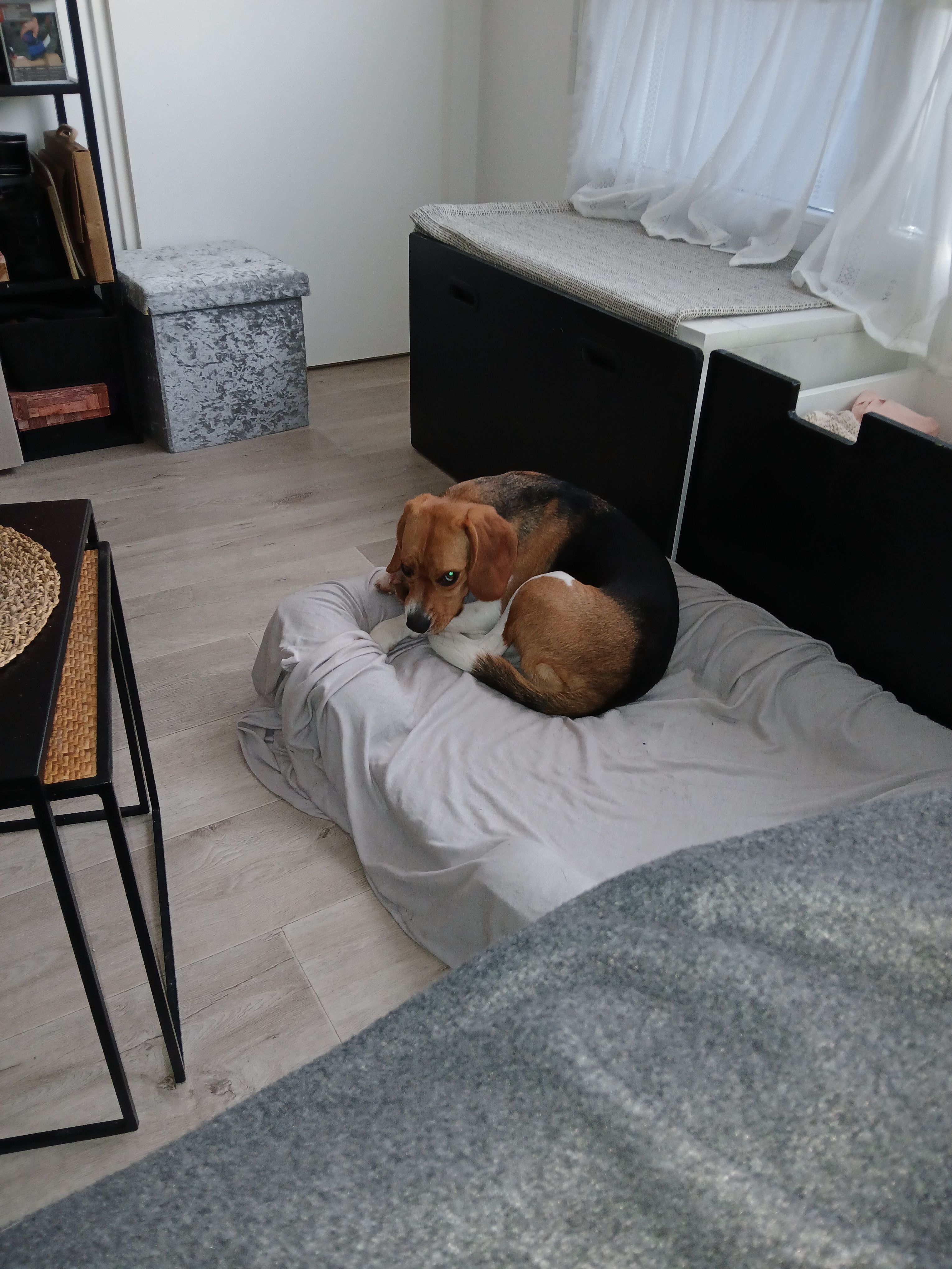 image-36