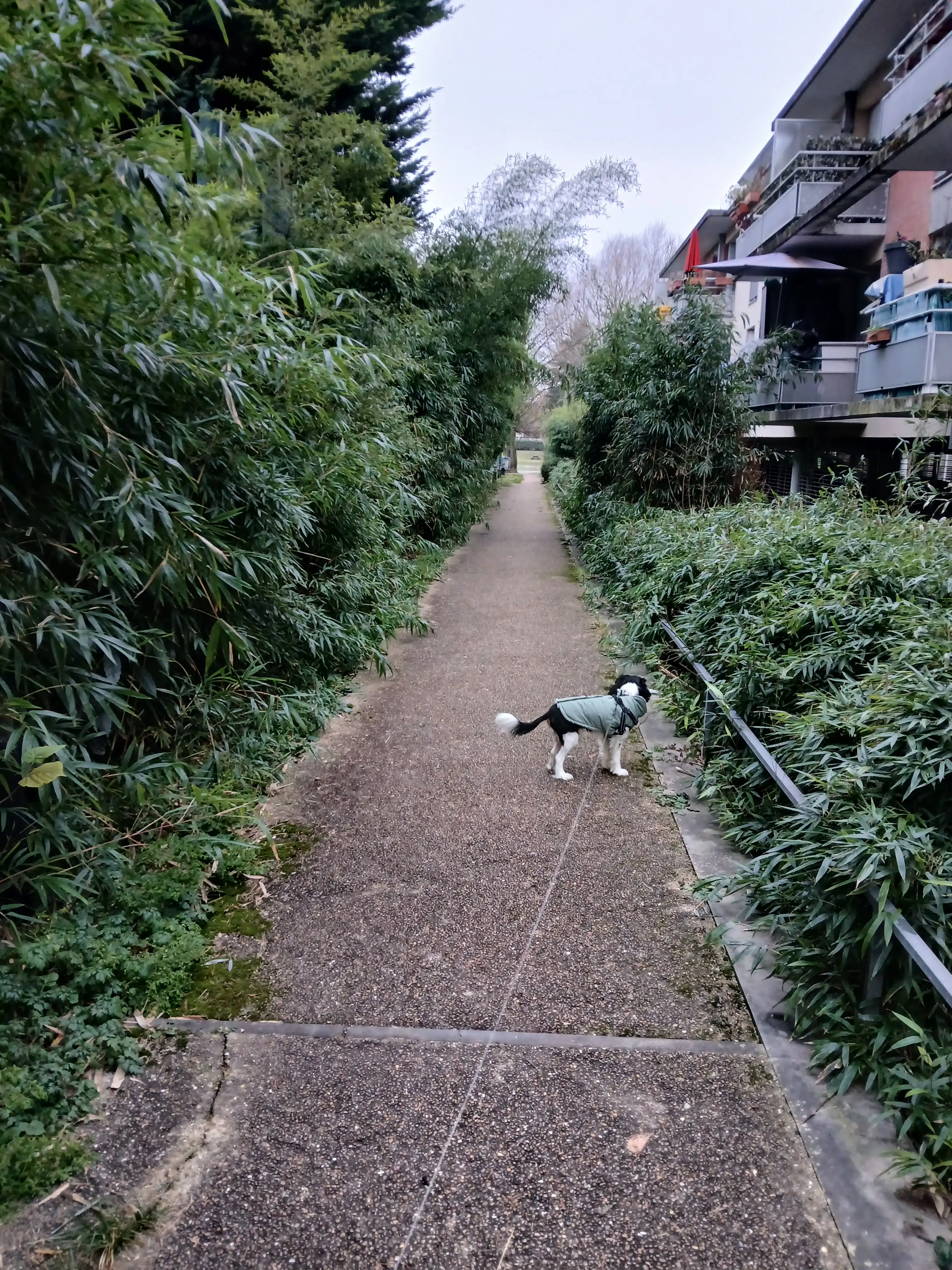 image-44
