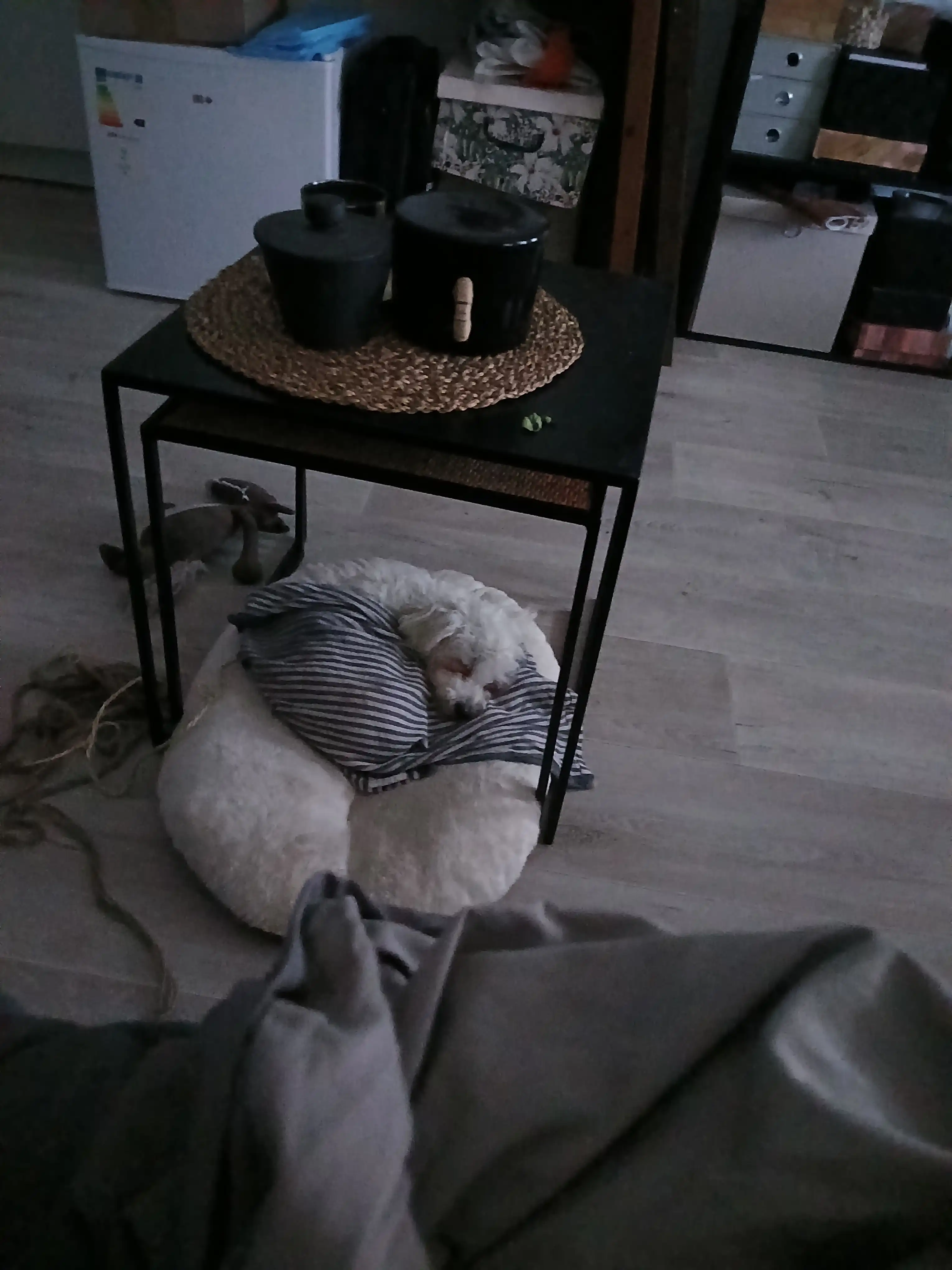 image-37