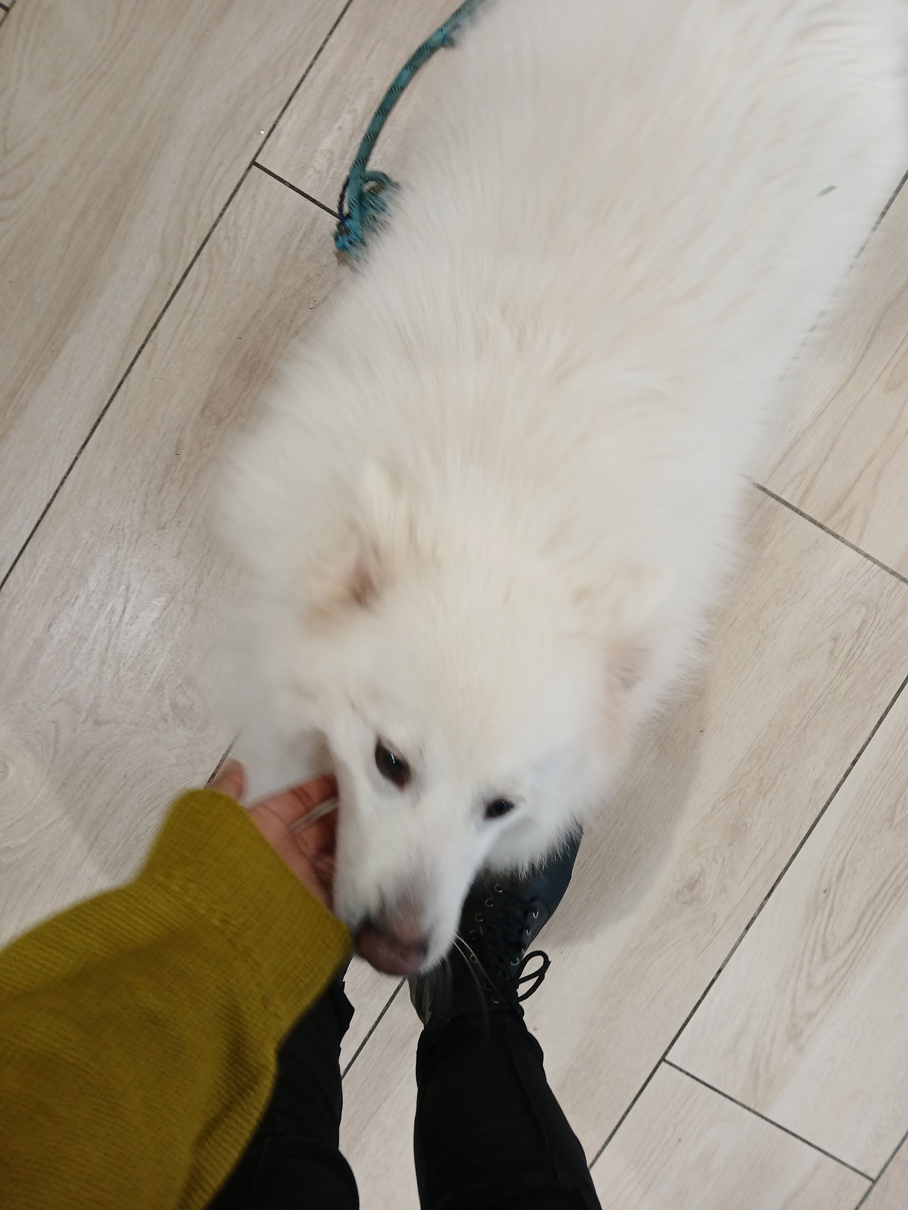image-11