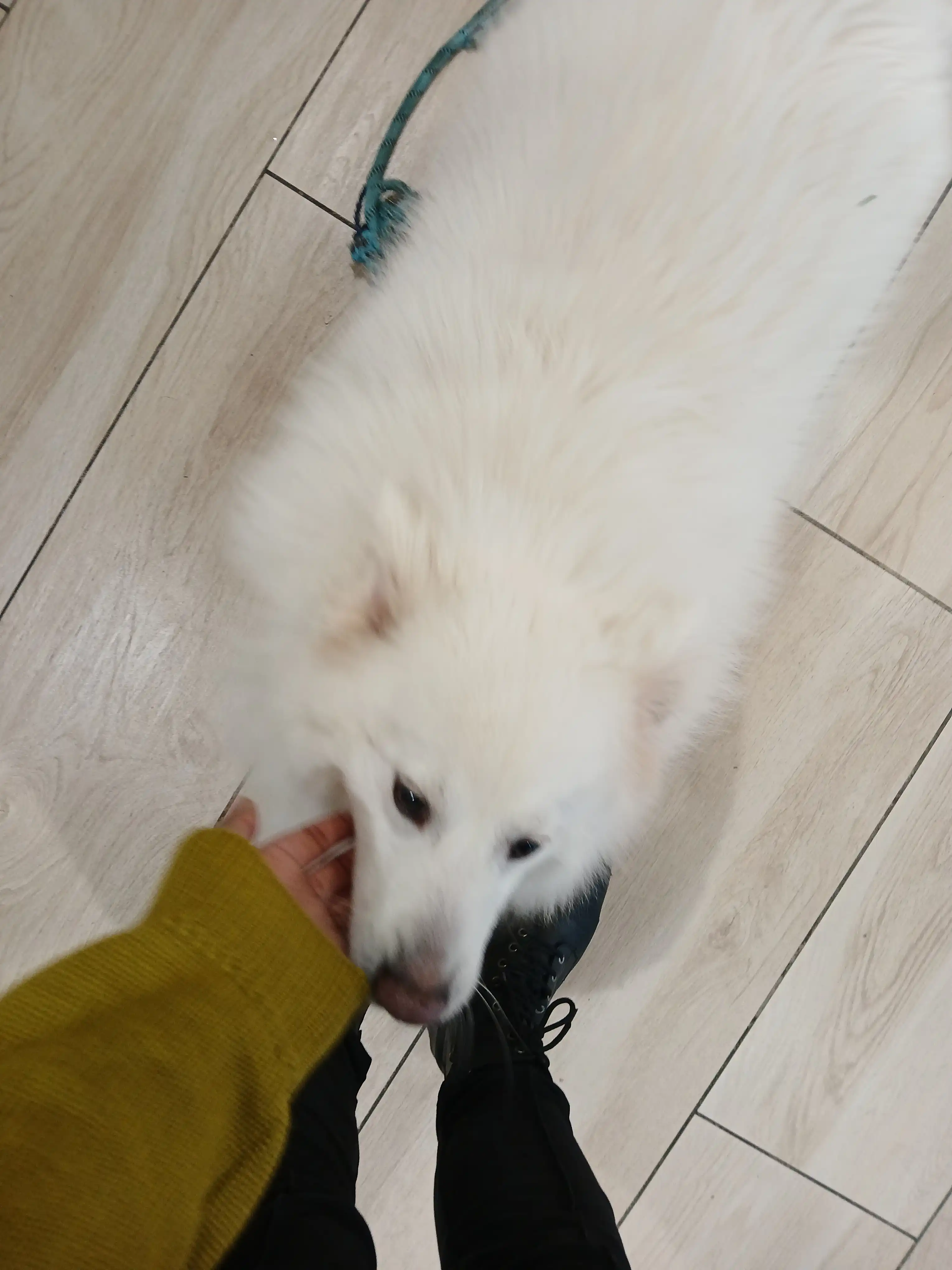 image-11