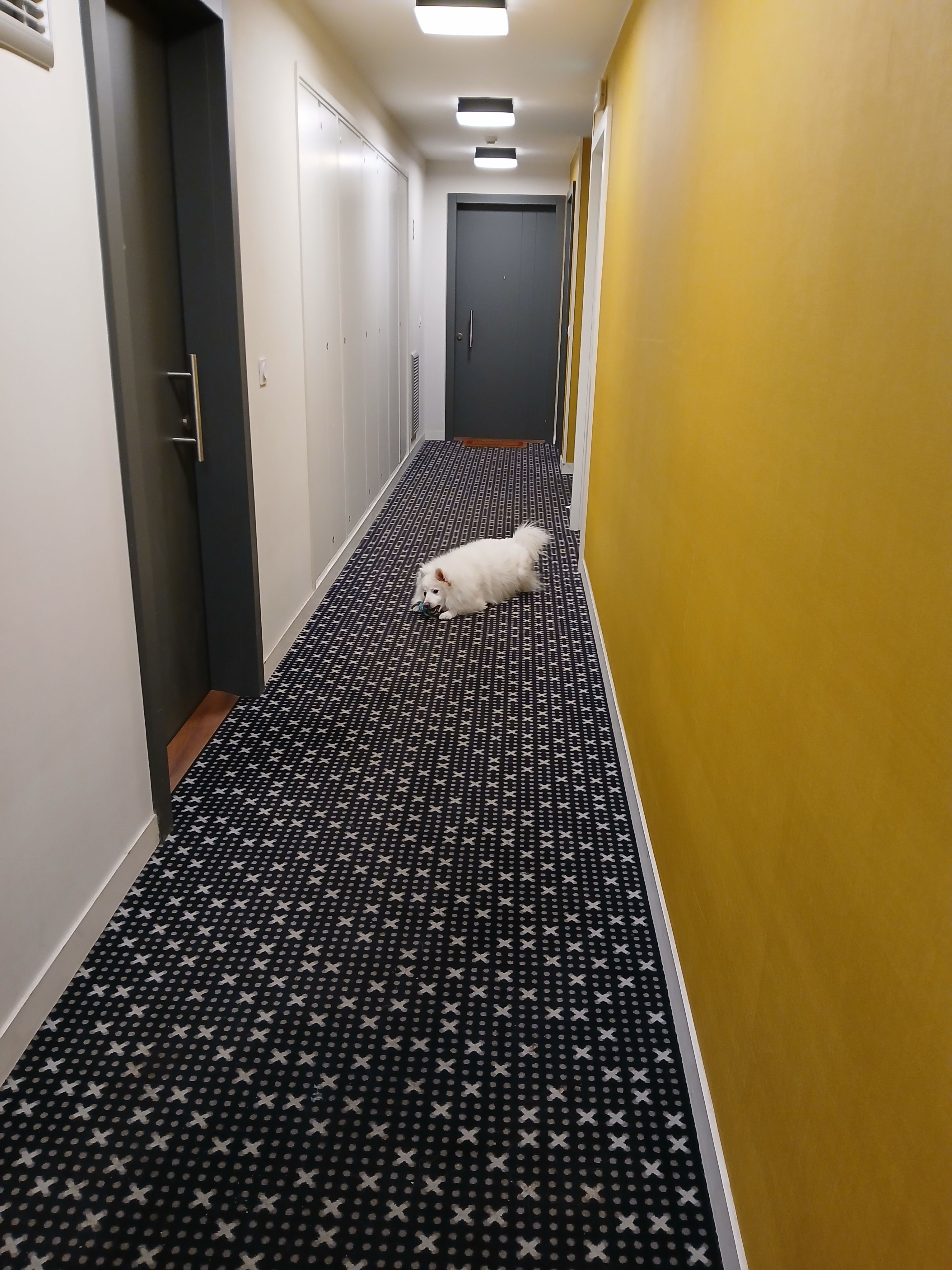 image-39