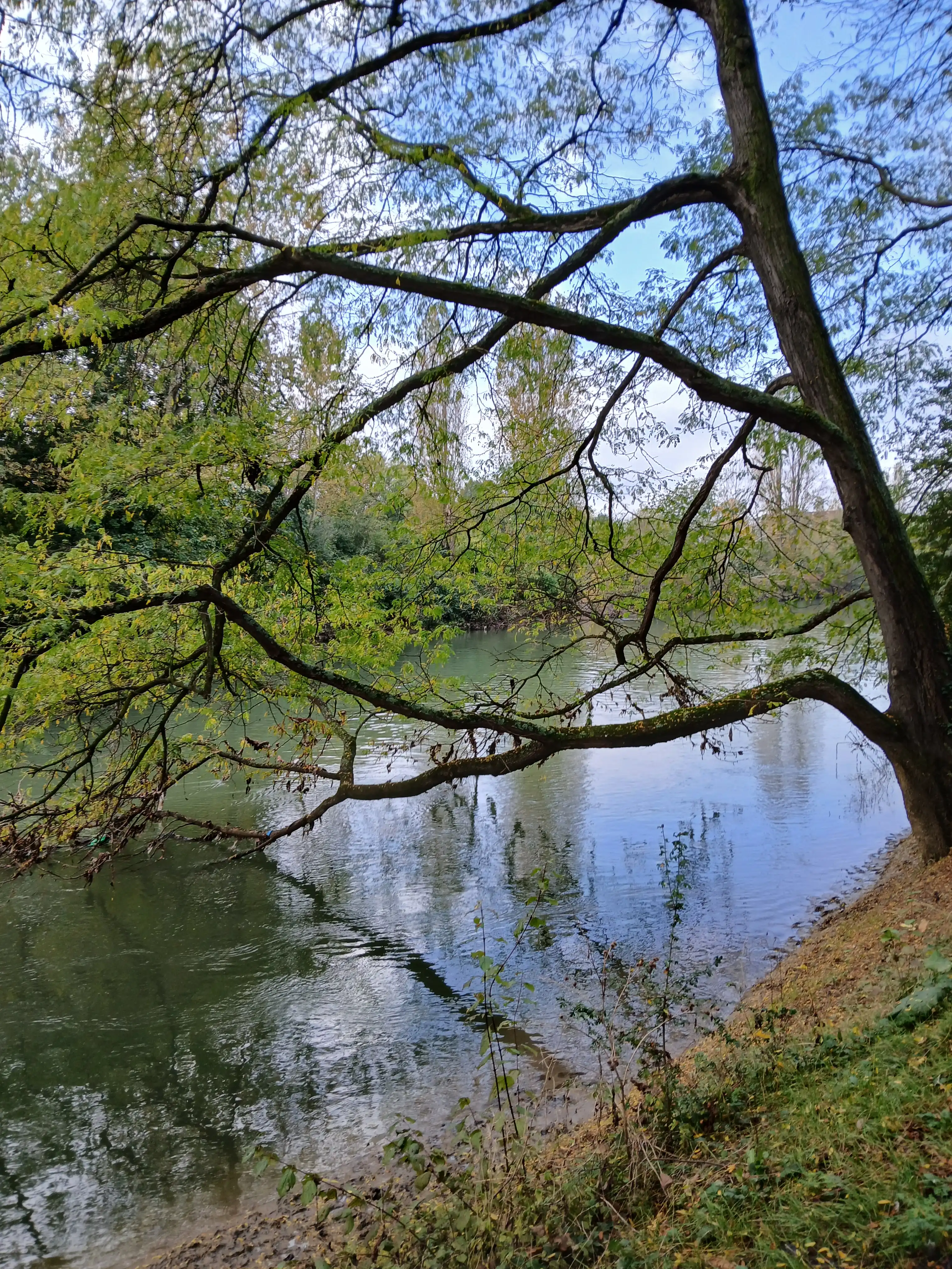 image-43