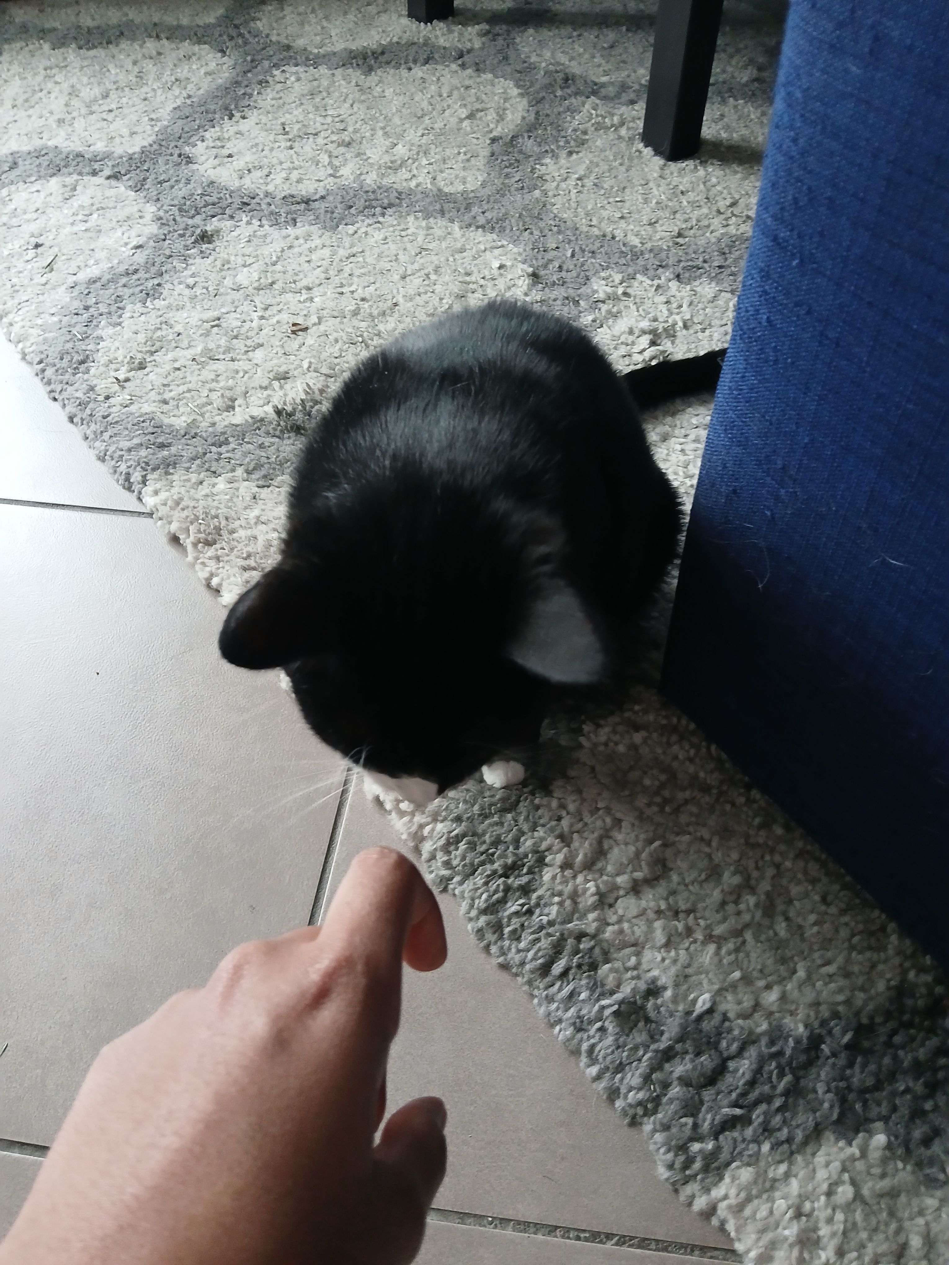 image-21