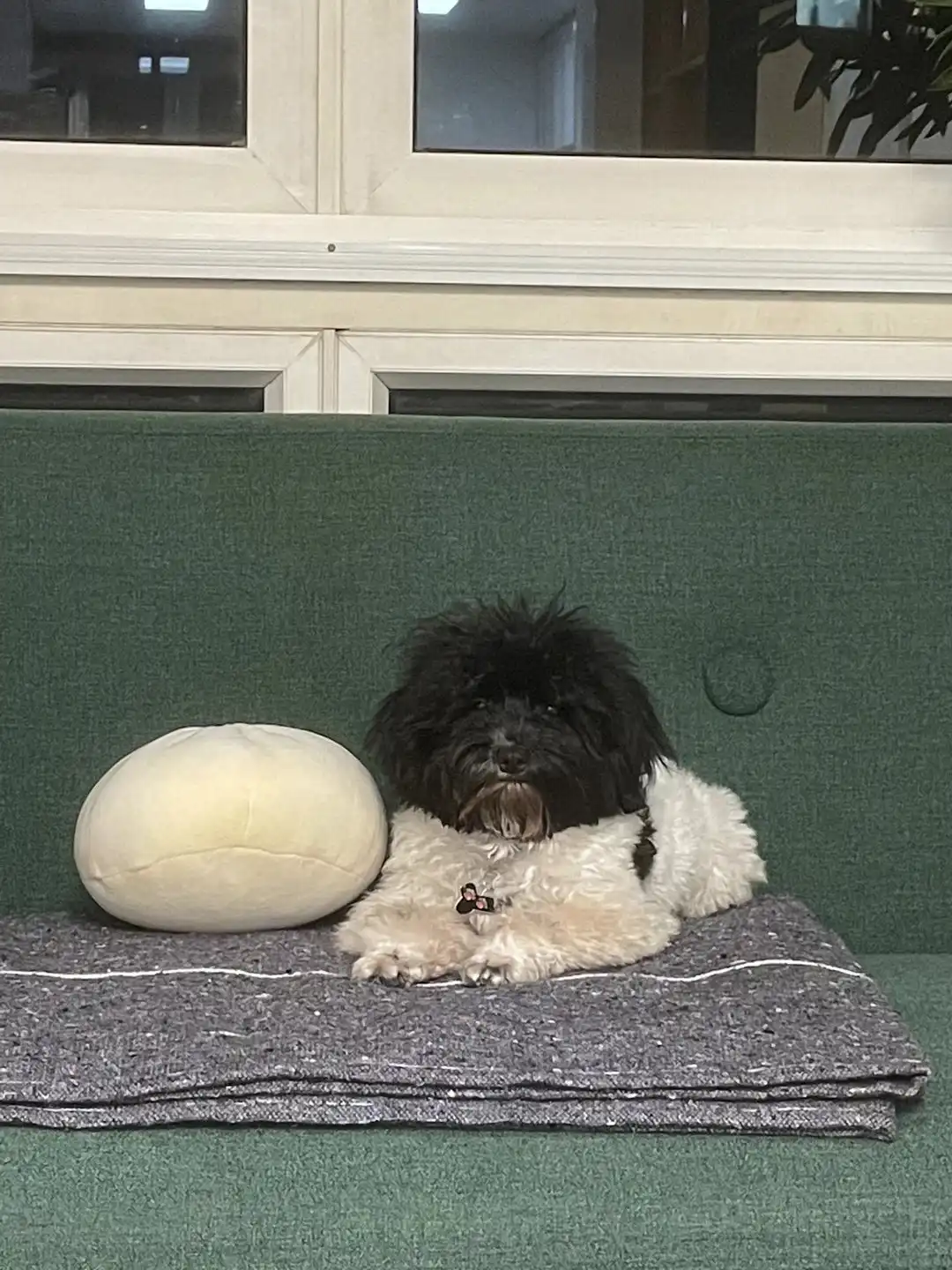 image-10