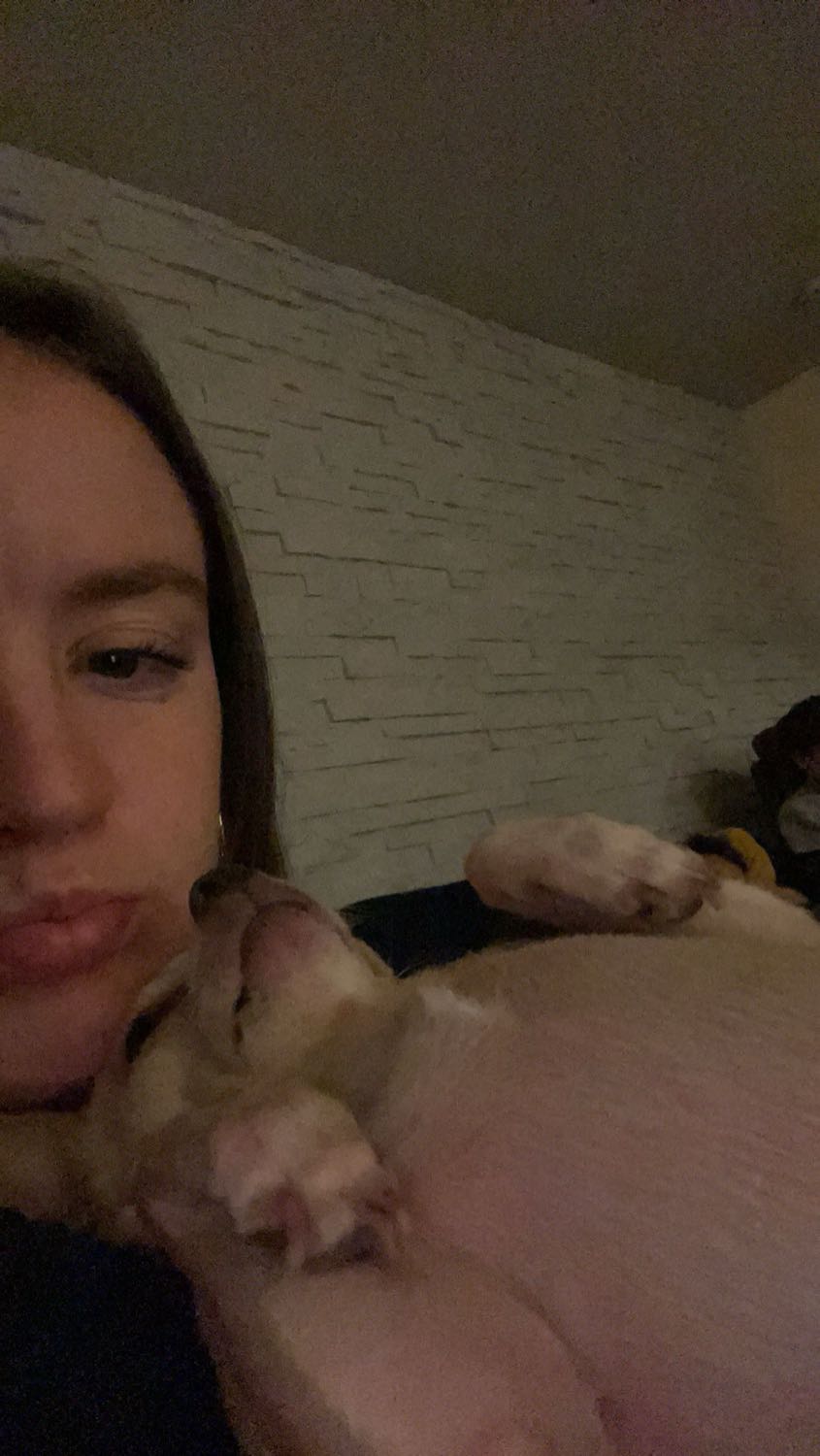 image-8