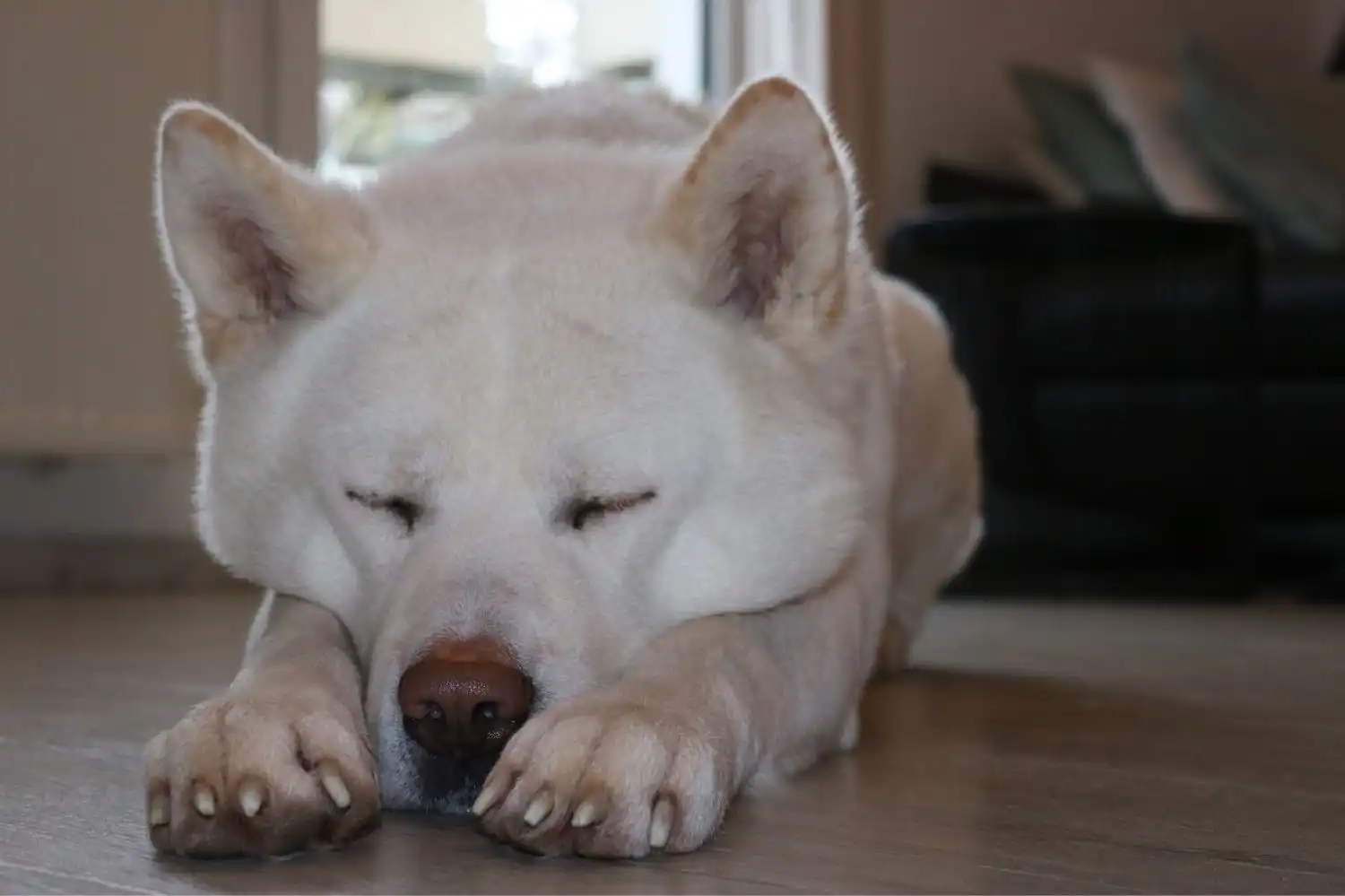 image-39