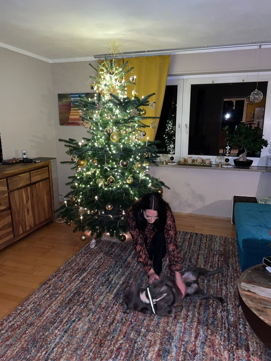 image-27