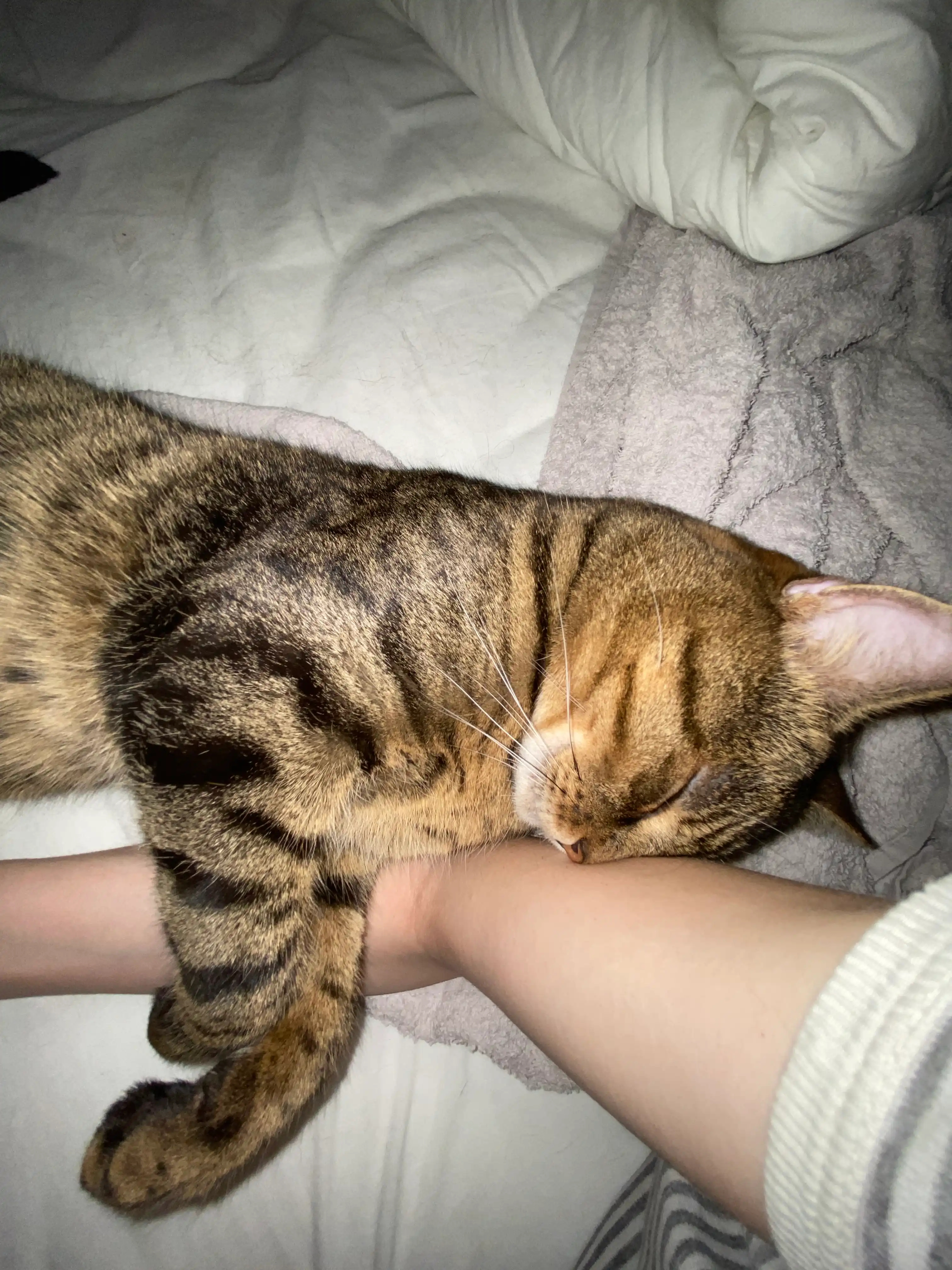image-5
