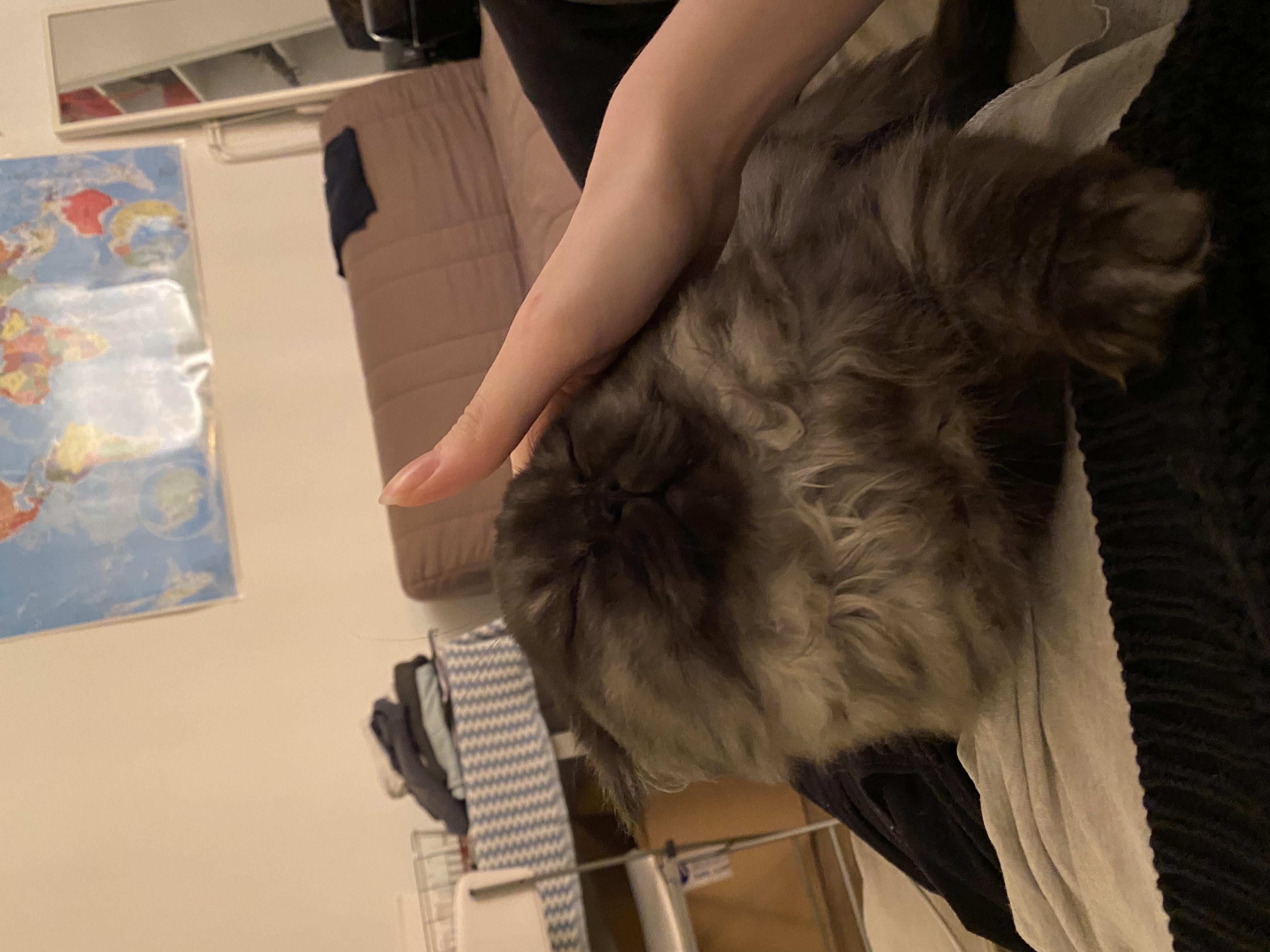 image-6